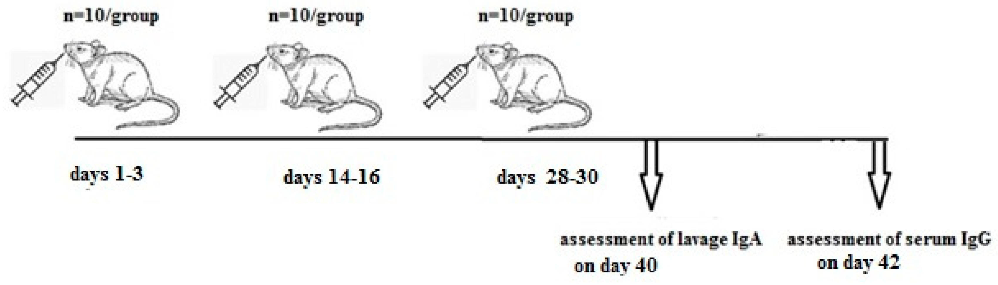 Ijms 25 00215 g006 Ijms 25 00215 g006