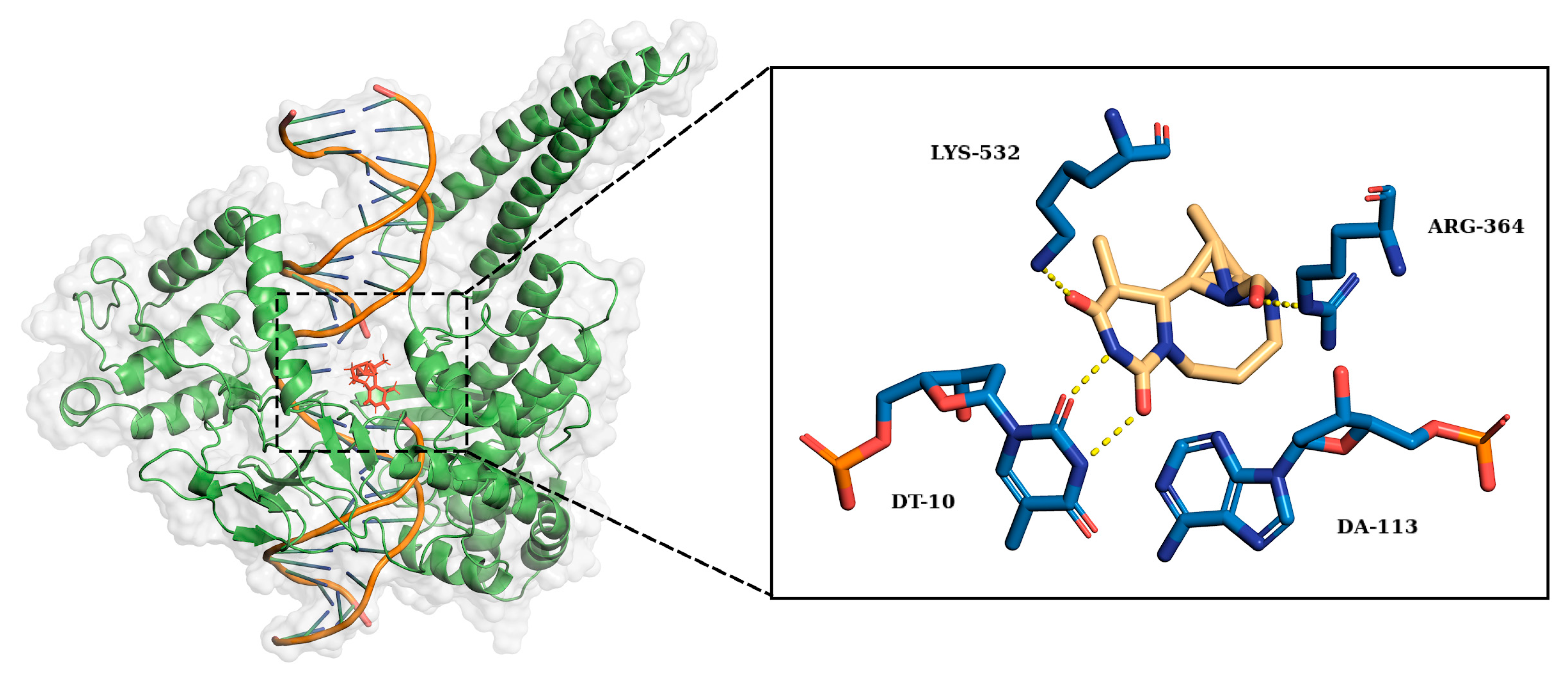Ijms 25 00234 g009 Ijms 25 00234 g009