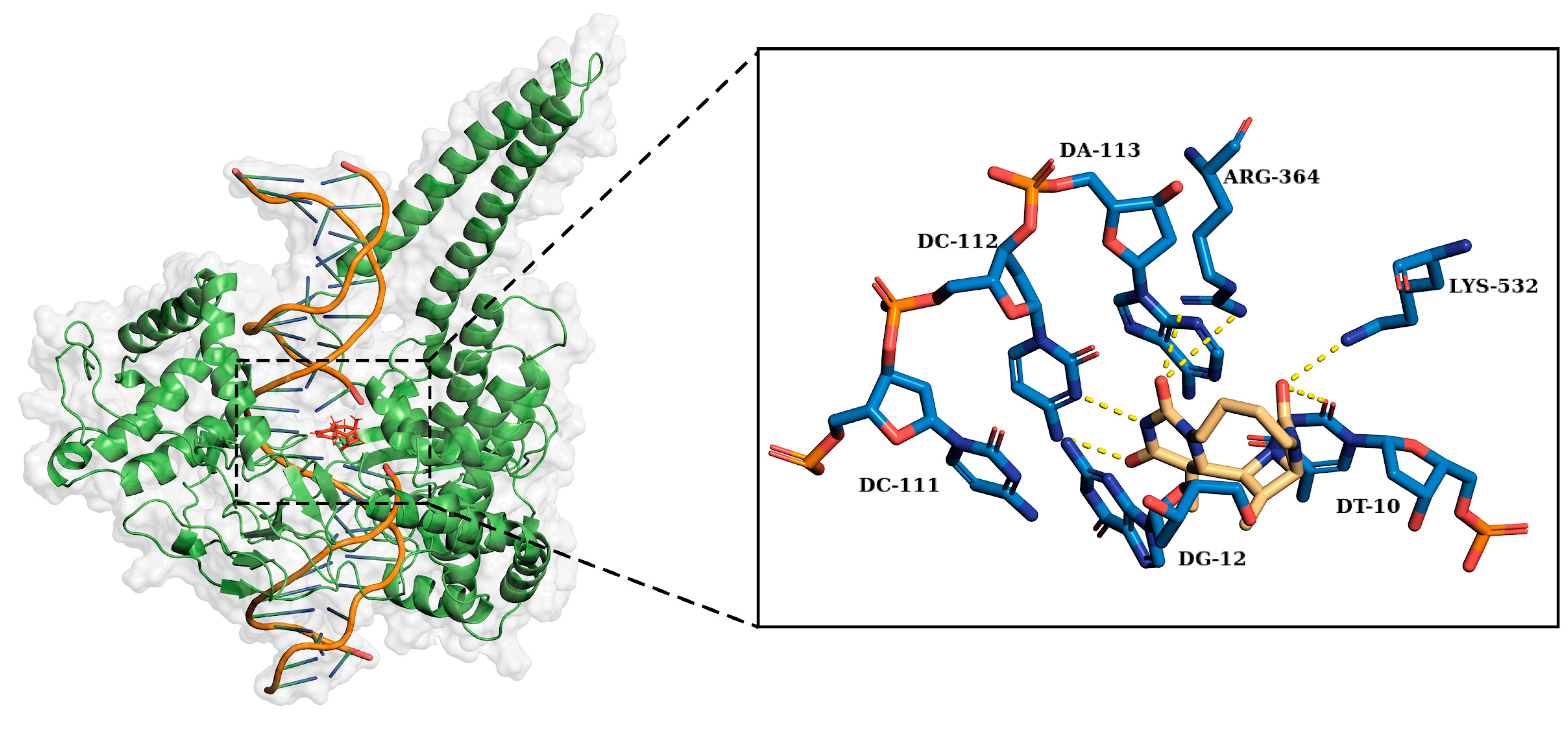 Ijms 25 00234 g010 Ijms 25 00234 g010