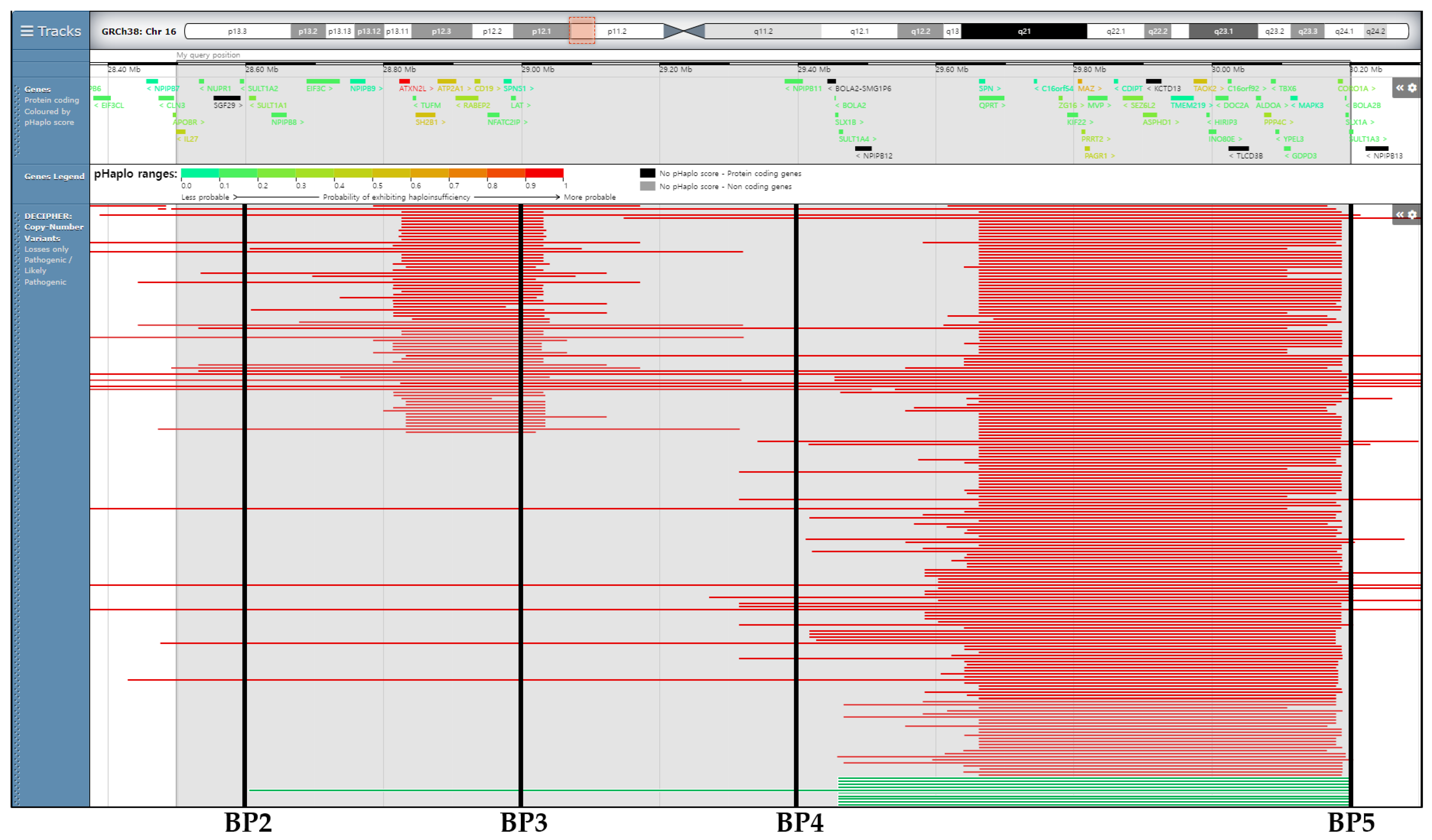 Ijms 25 00253 g003 Ijms 25 00253 g003