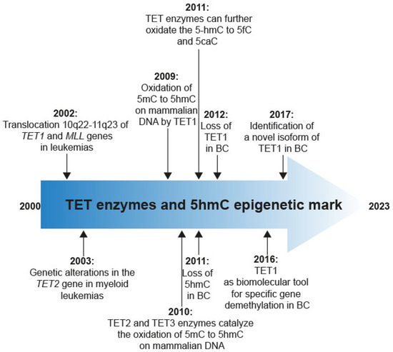 TET Enzymes and 5hmC Levels in Carcinogenesis and Progression of