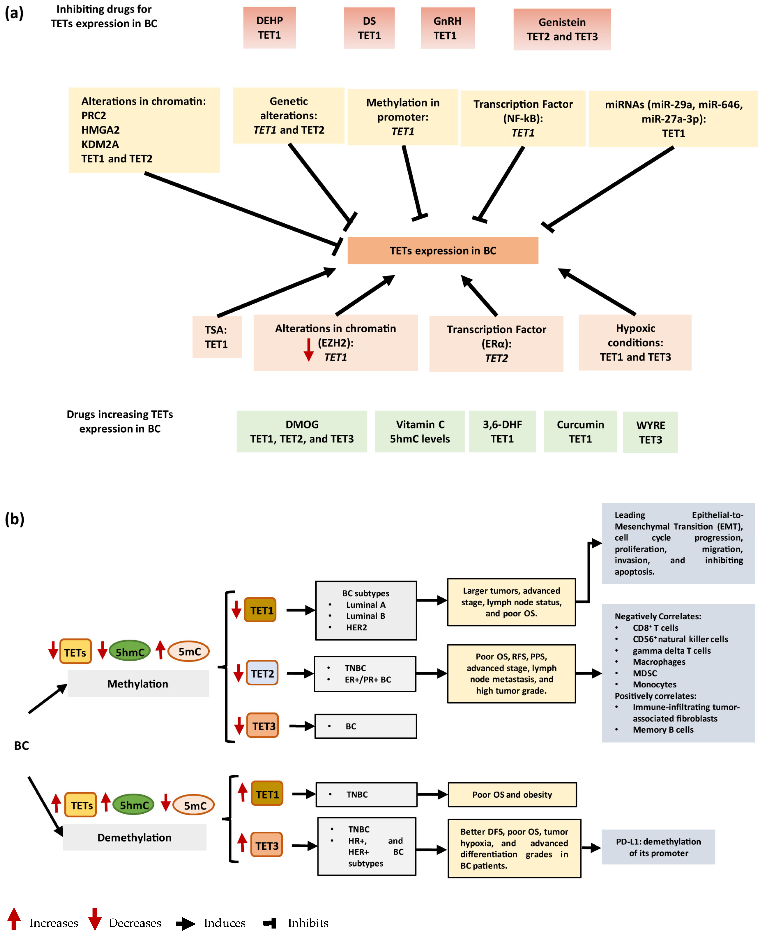 Ijms 25 00272 g003 Ijms 25 00272 g003