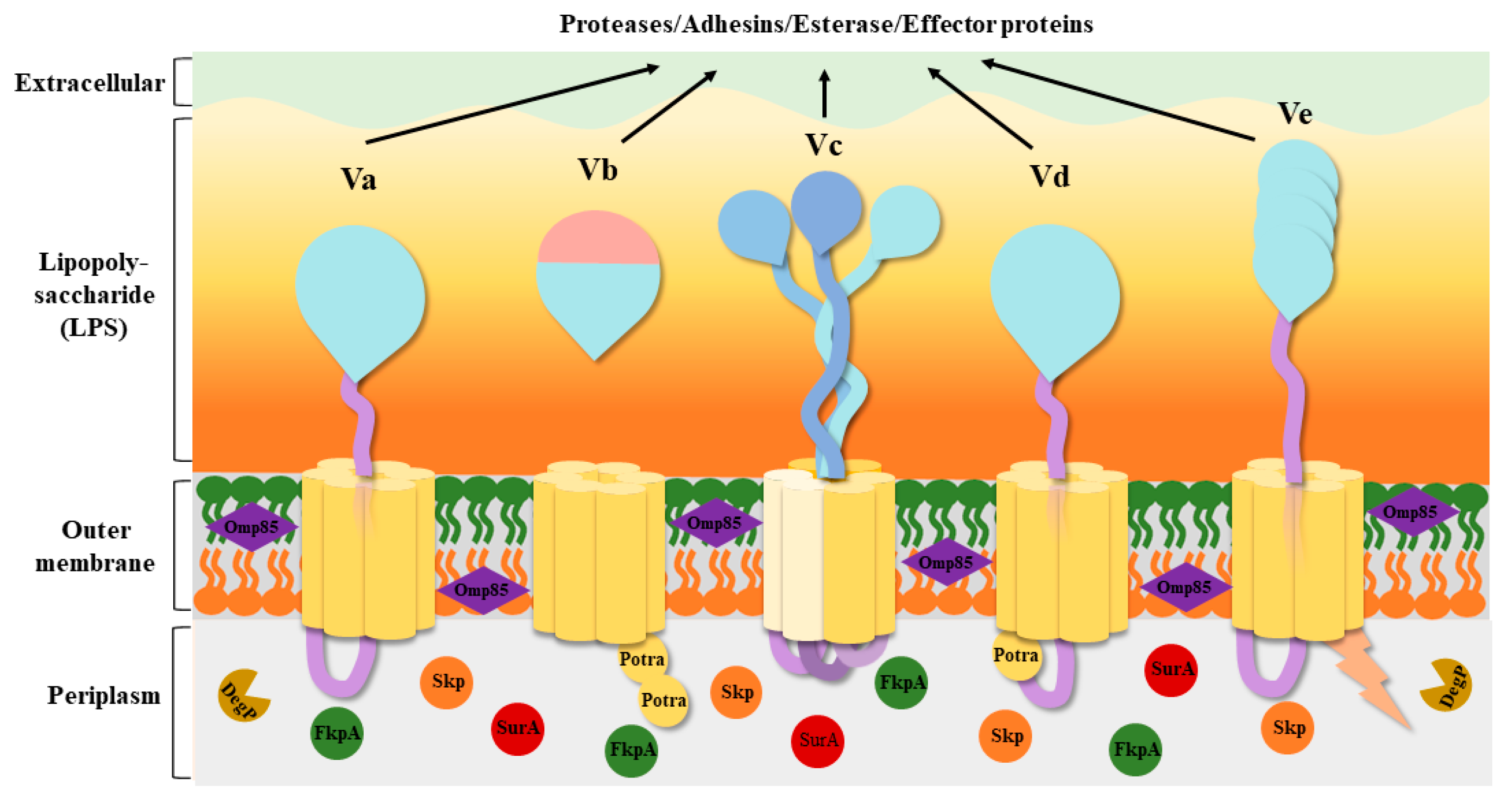 Ijms 25 00281 g002 Ijms 25 00281 g002