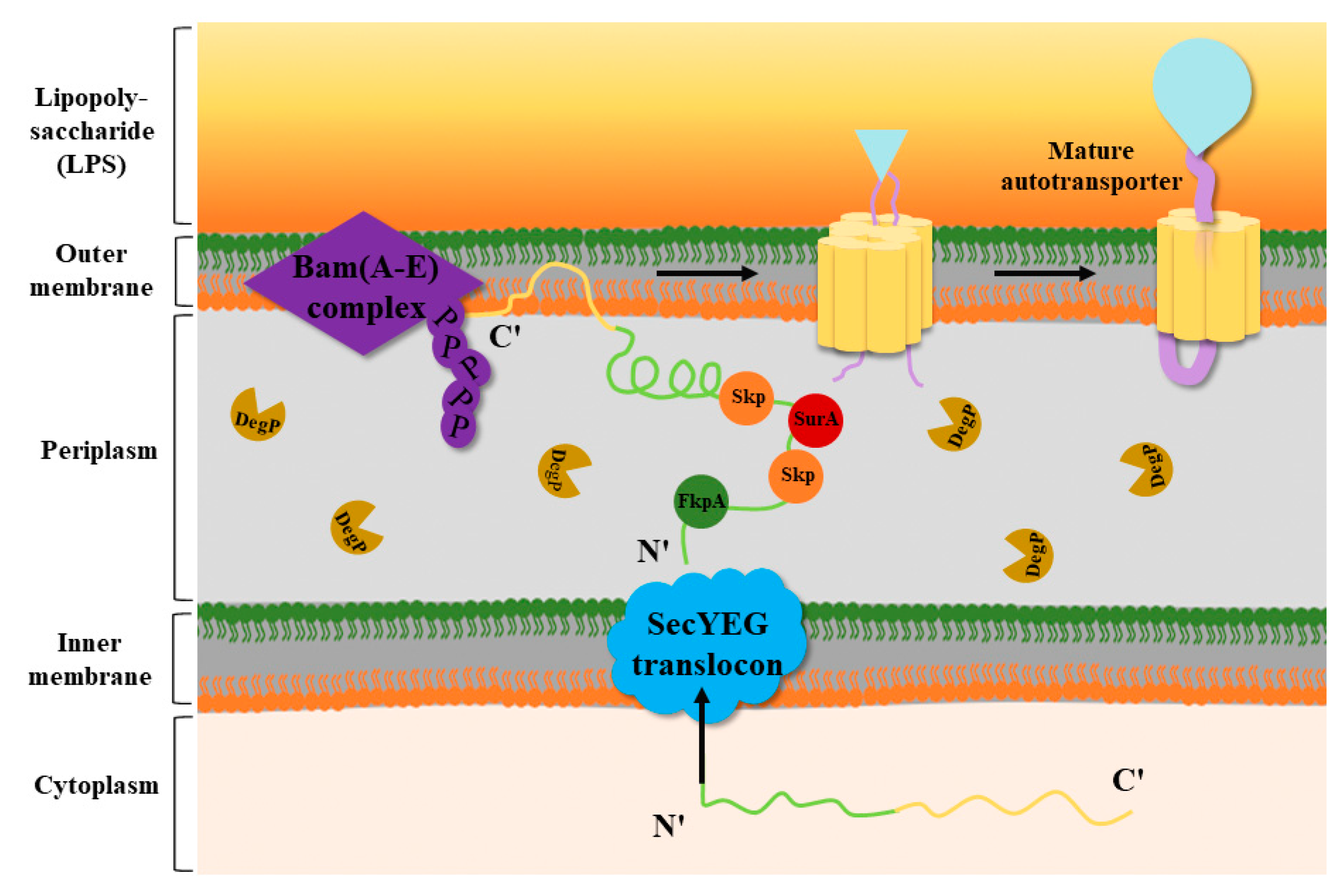 Ijms 25 00281 g003 Ijms 25 00281 g003