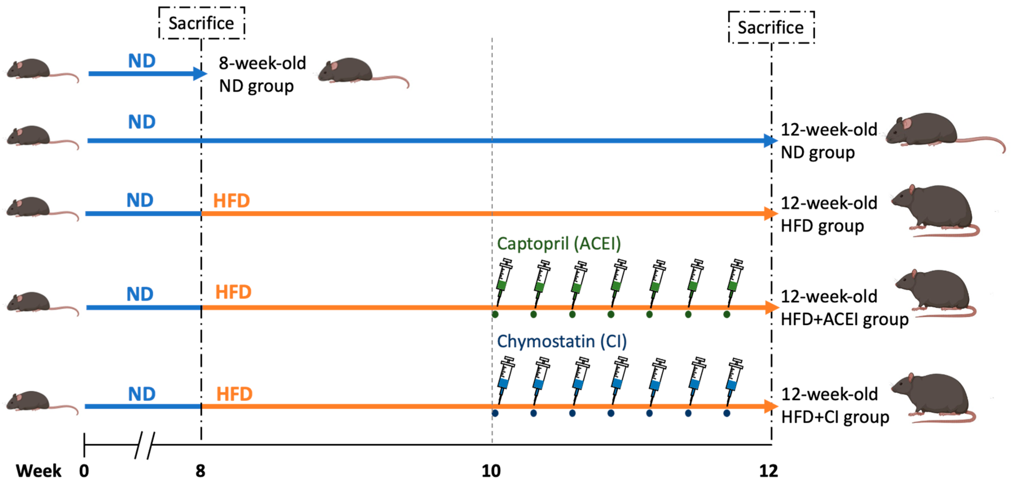 Ijms 25 00329 g002 Ijms 25 00329 g002