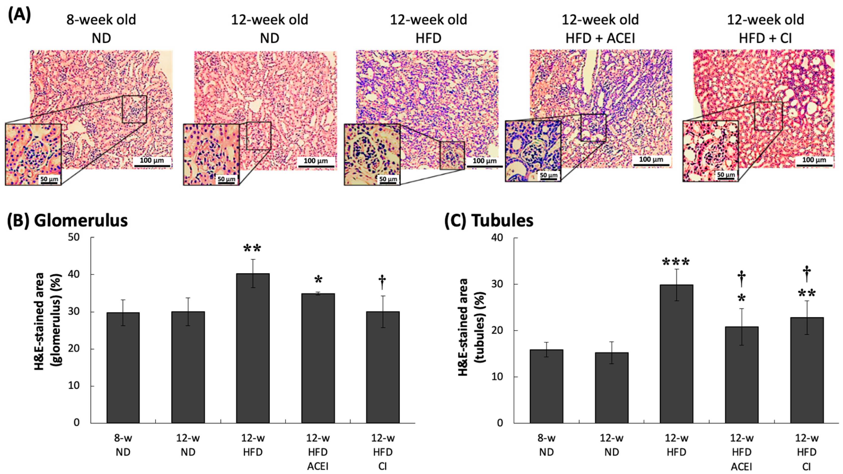 Ijms 25 00329 g006 Ijms 25 00329 g006