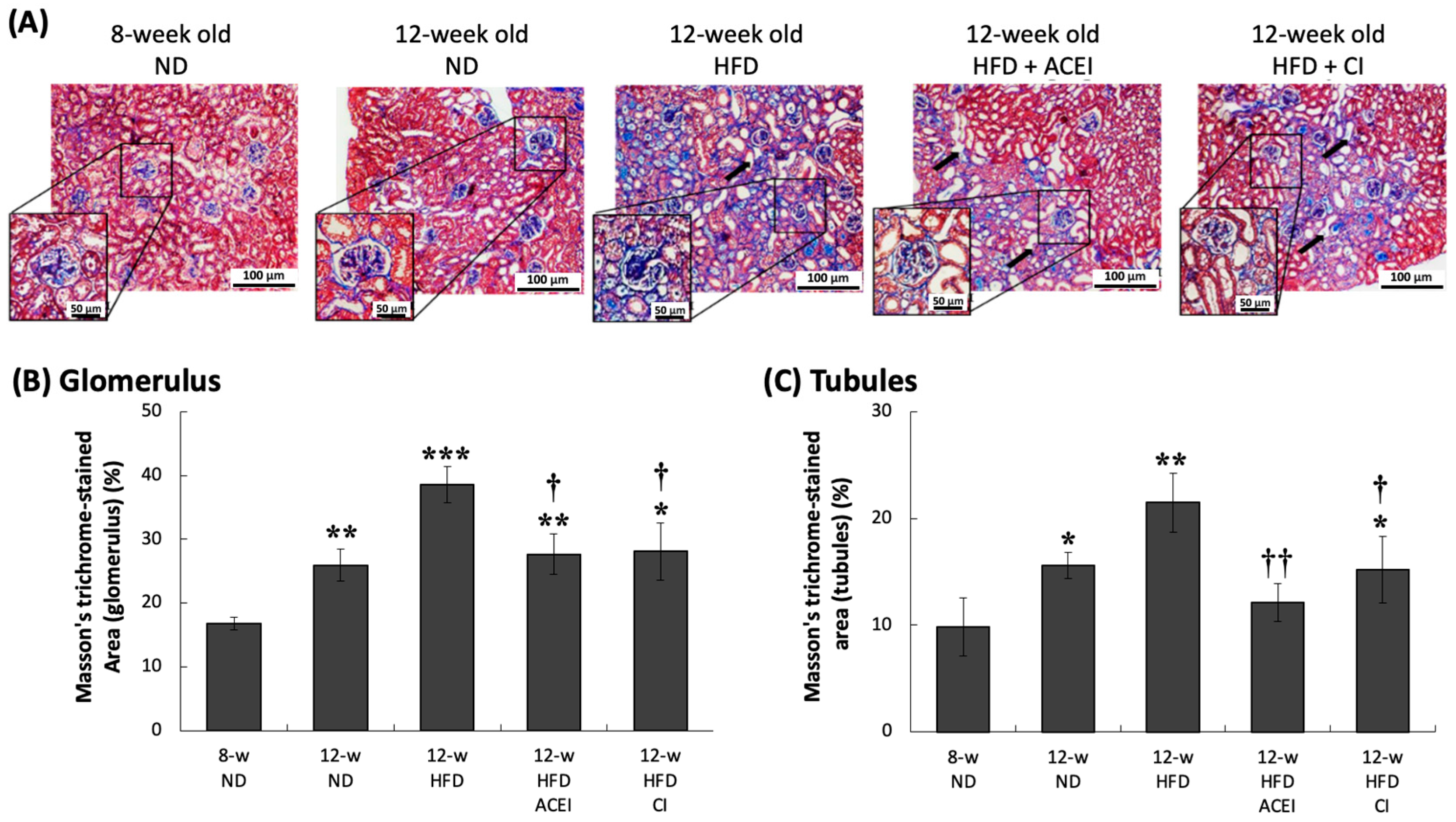 Ijms 25 00329 g007 Ijms 25 00329 g007