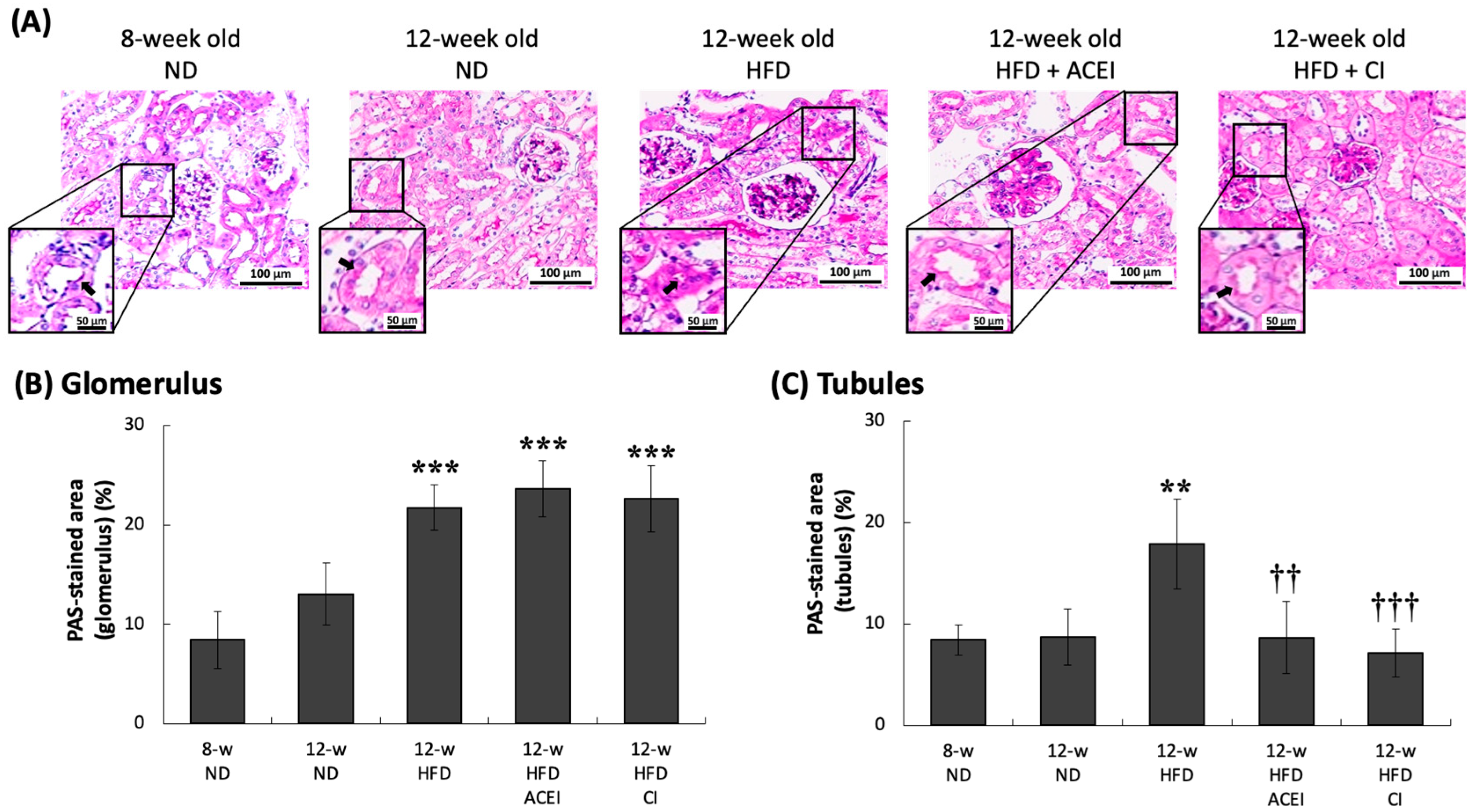 Ijms 25 00329 g008 Ijms 25 00329 g008
