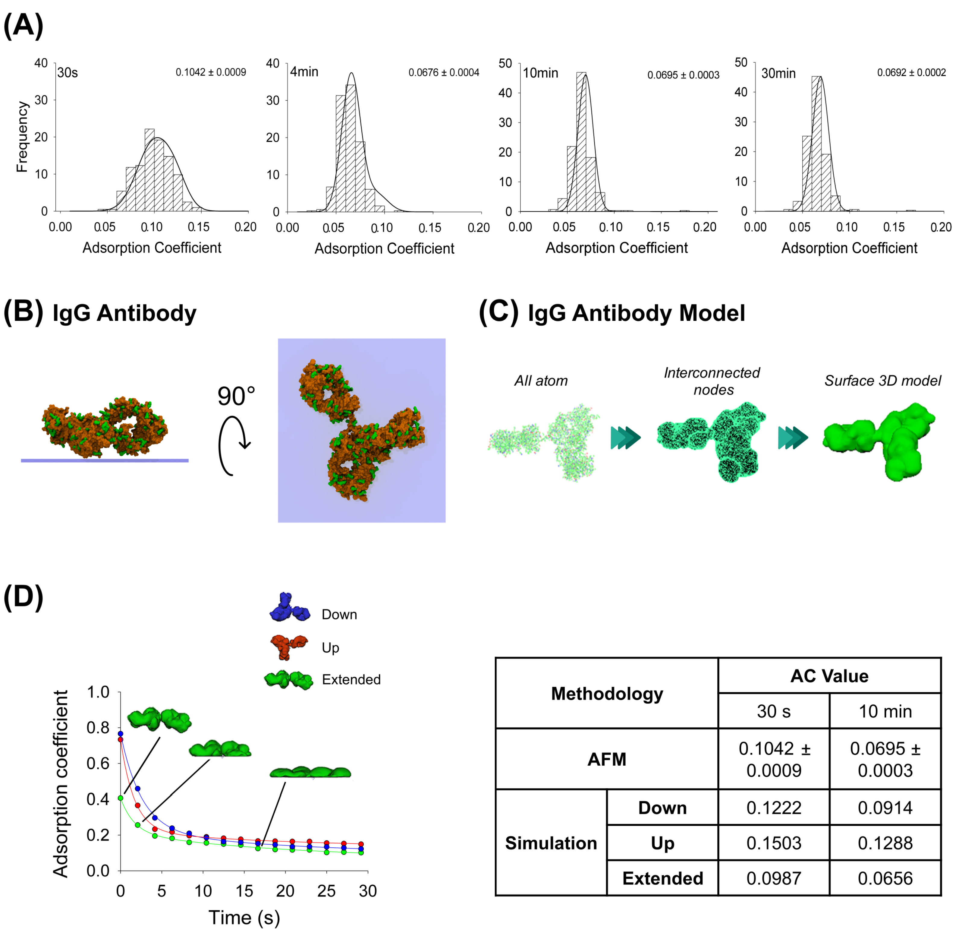 Ijms 25 00336 g001 Ijms 25 00336 g001