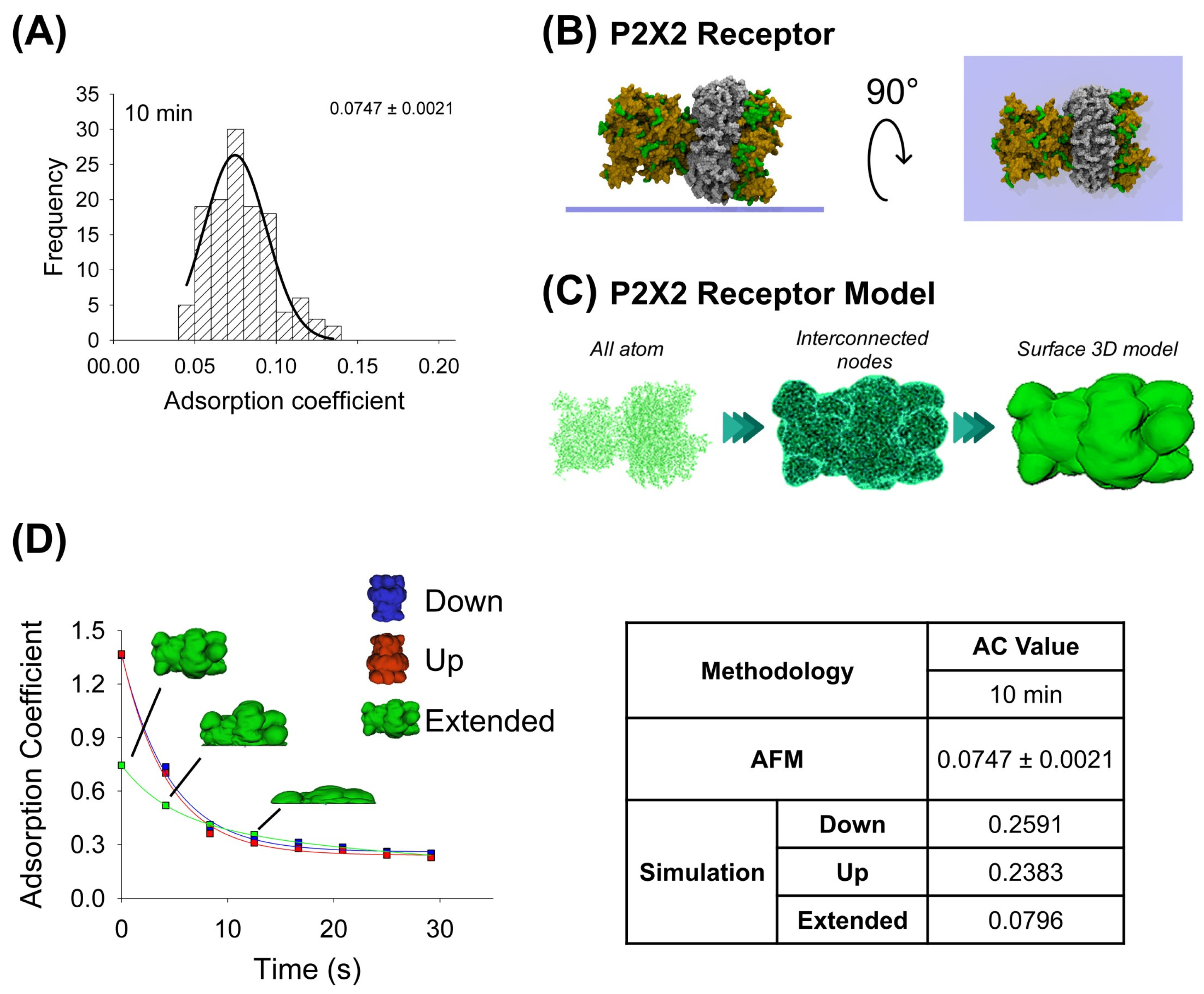 Ijms 25 00336 g002 Ijms 25 00336 g002