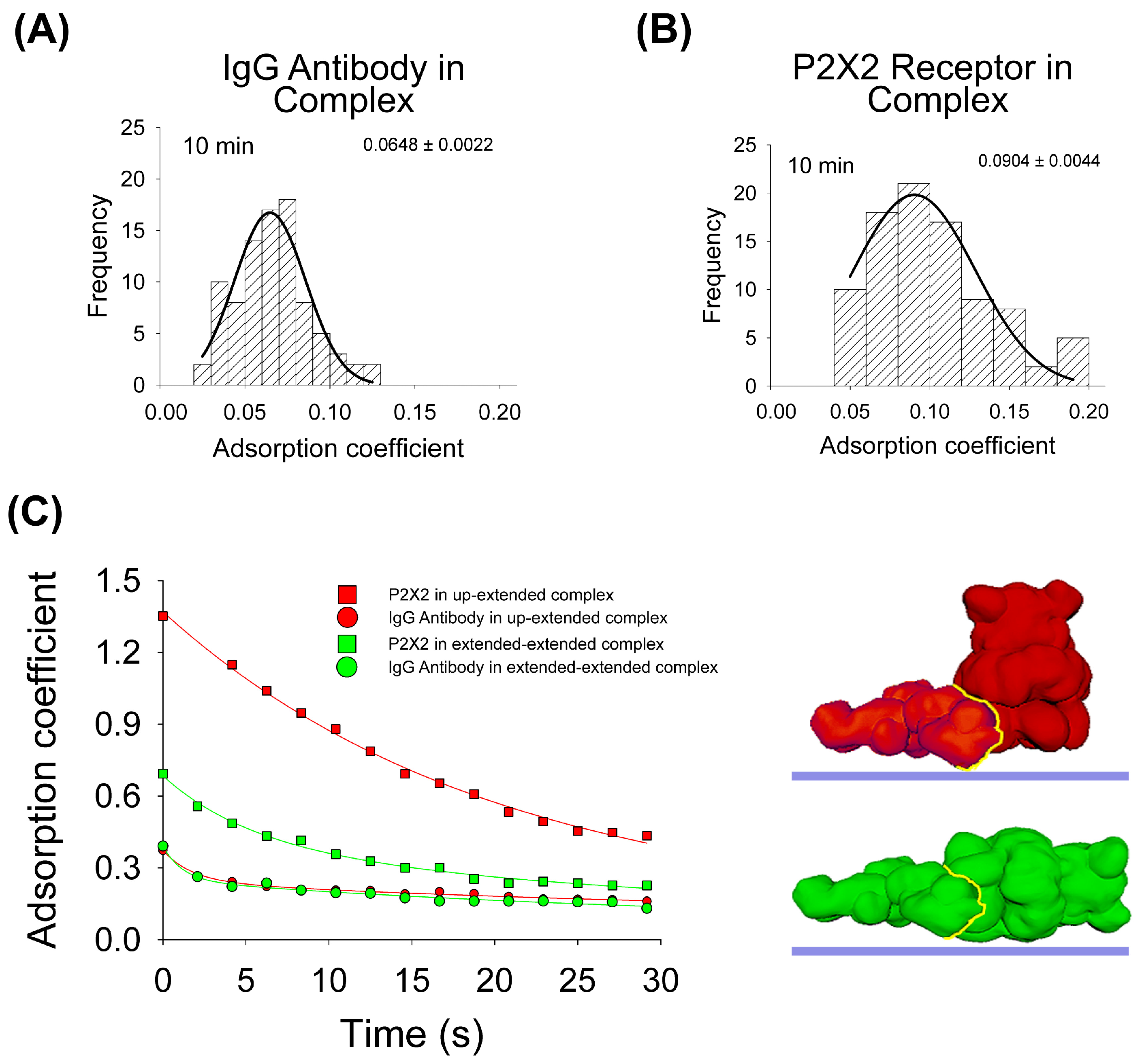 Ijms 25 00336 g003 Ijms 25 00336 g003