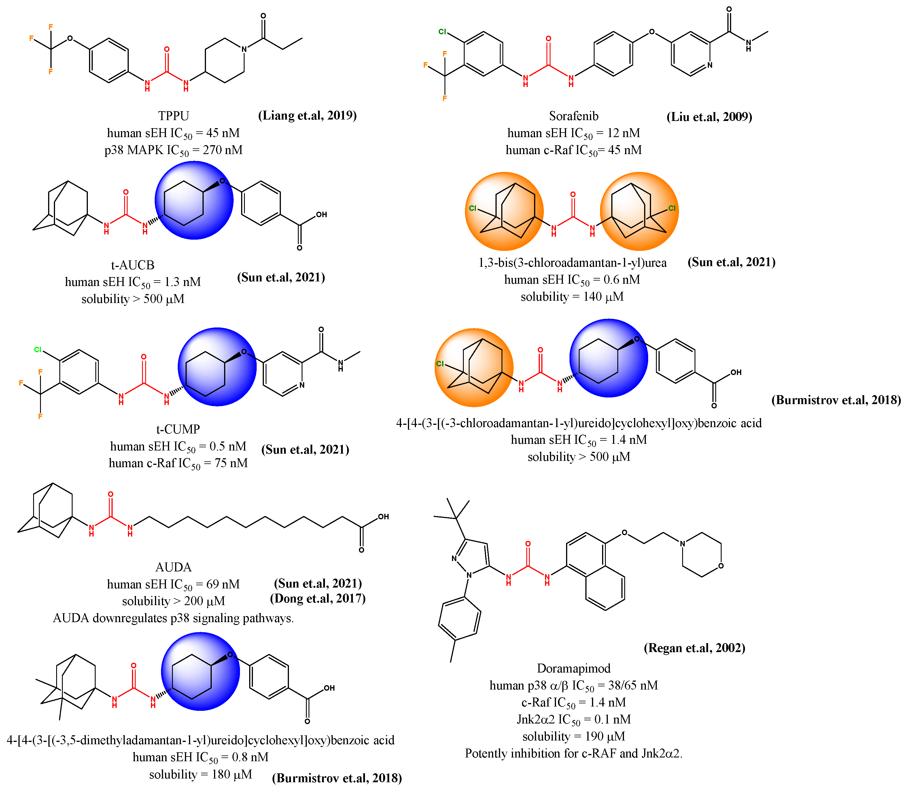 Ijms 25 00338 g002 Ijms 25 00338 g002