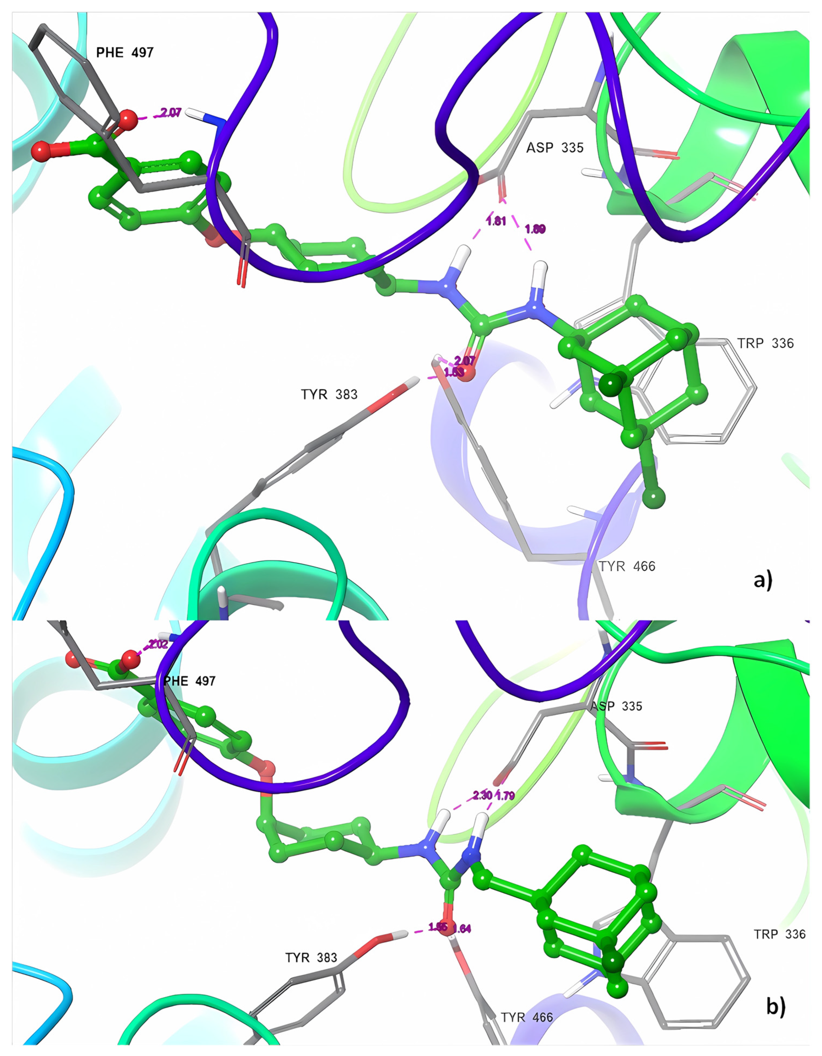 Ijms 25 00338 g003 Ijms 25 00338 g003