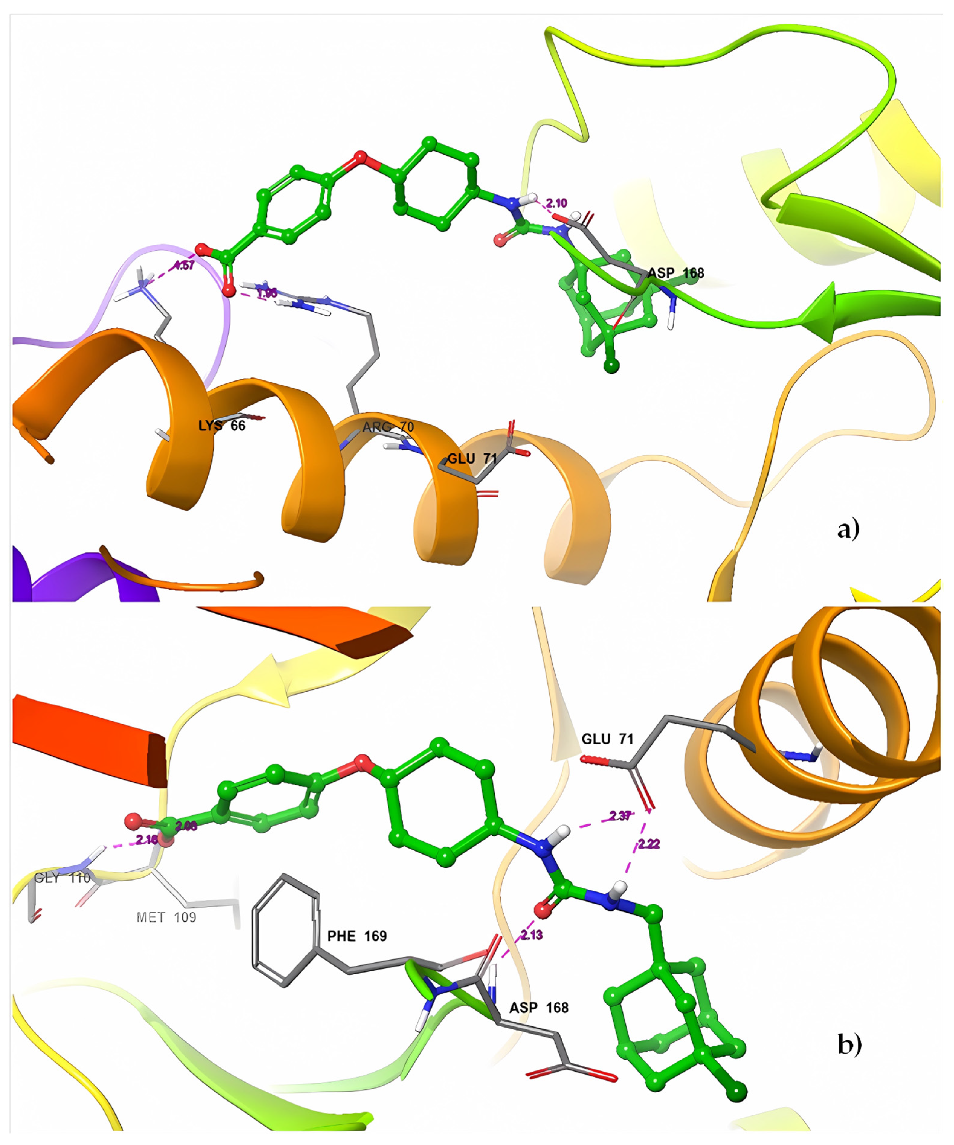 Ijms 25 00338 g007 Ijms 25 00338 g007