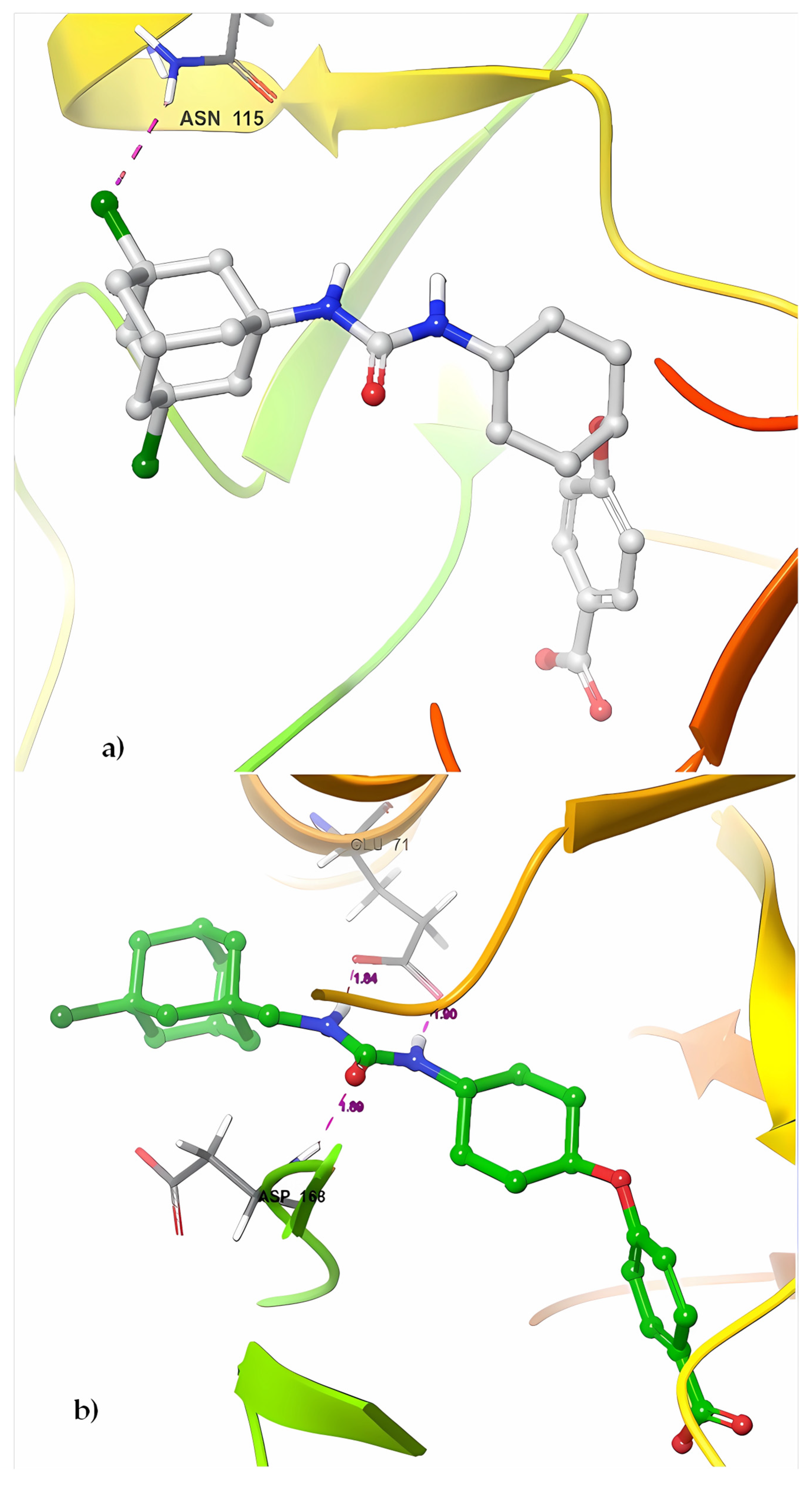 Ijms 25 00338 g011 Ijms 25 00338 g011