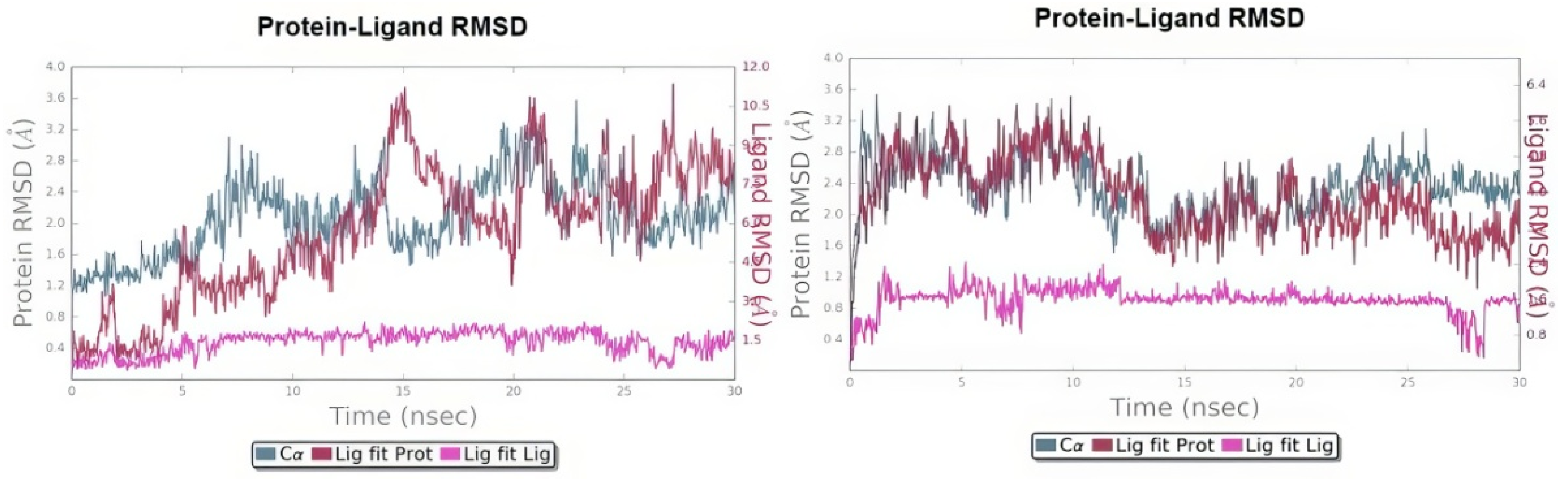 Ijms 25 00338 g012 Ijms 25 00338 g012