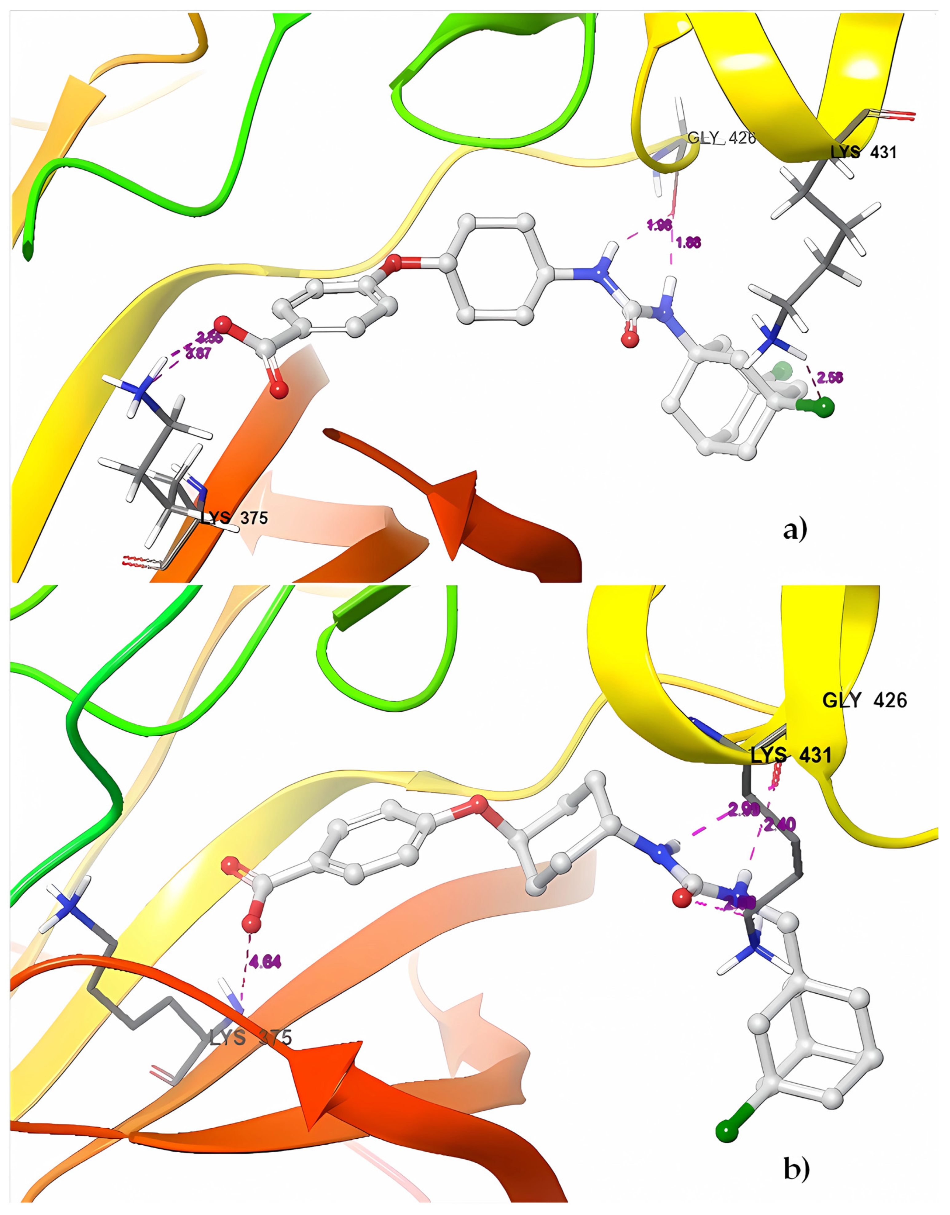 Ijms 25 00338 g016 Ijms 25 00338 g016