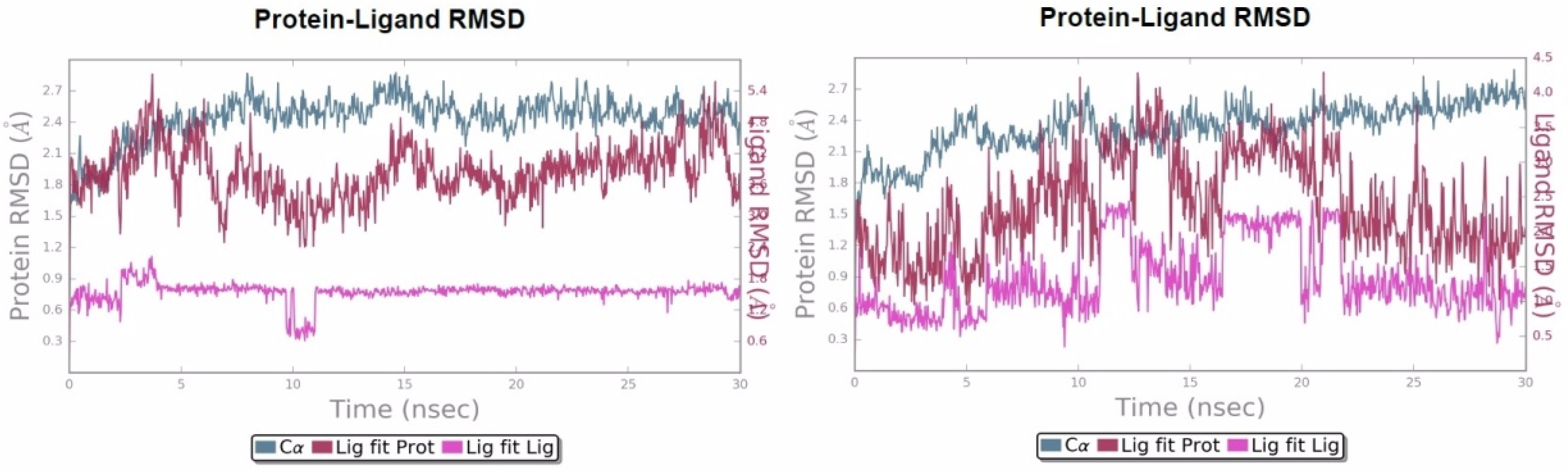 Ijms 25 00338 g017 Ijms 25 00338 g017