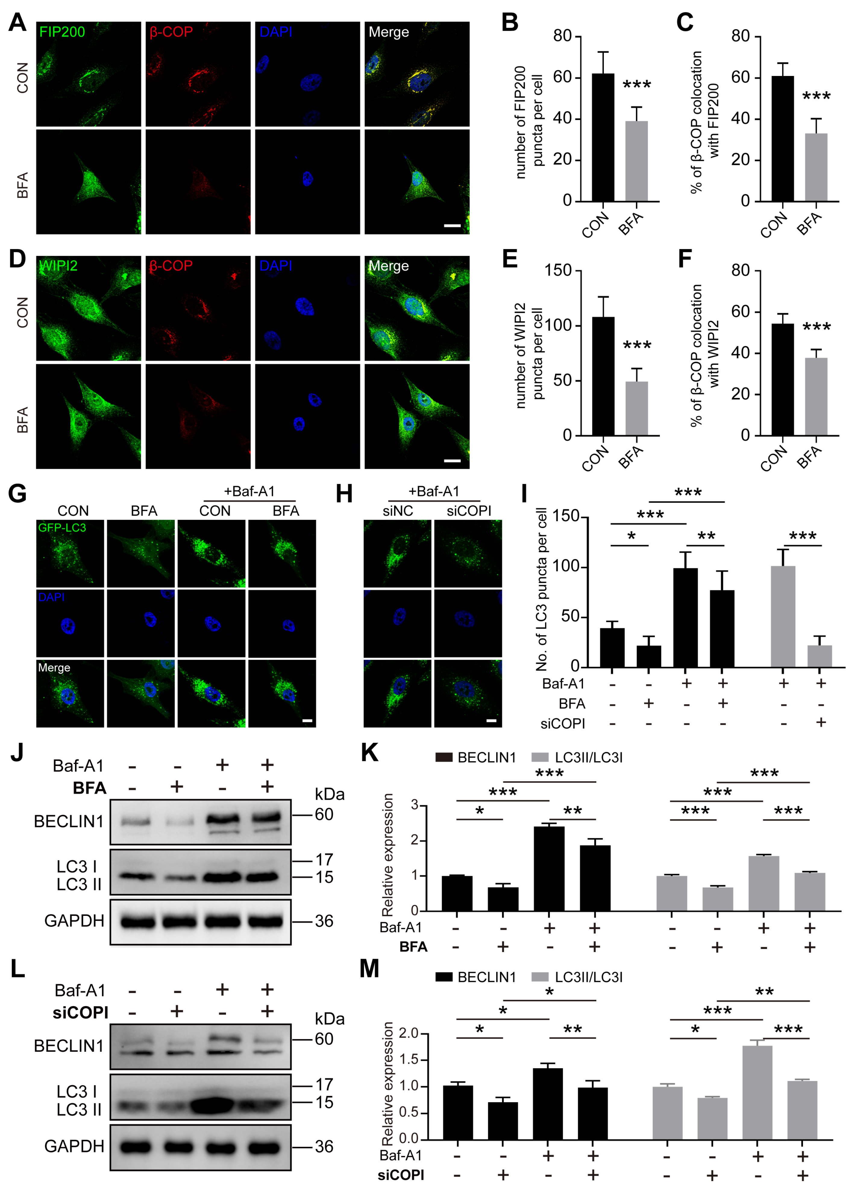 Ijms 25 00339 g003 Ijms 25 00339 g003