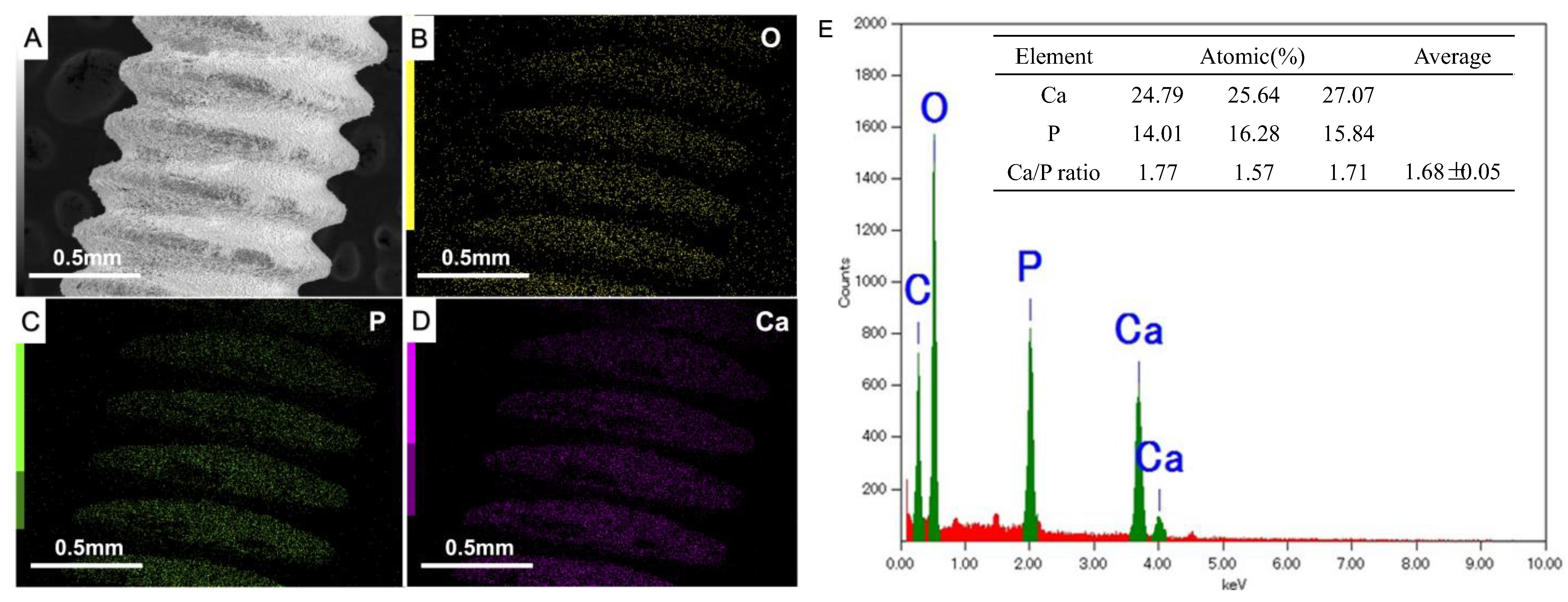 Ijms 25 00349 g002 Ijms 25 00349 g002