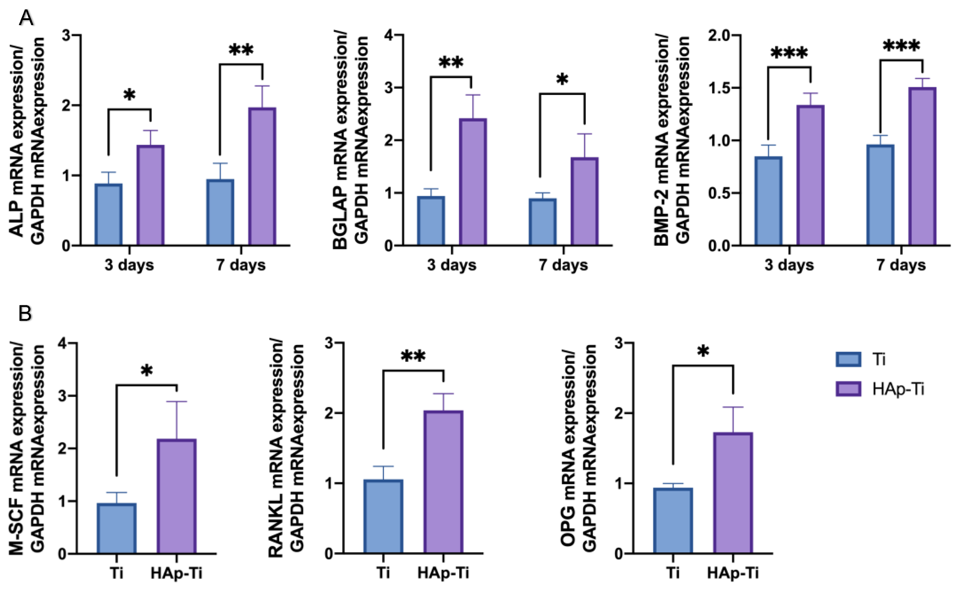 Ijms 25 00349 g010 Ijms 25 00349 g010