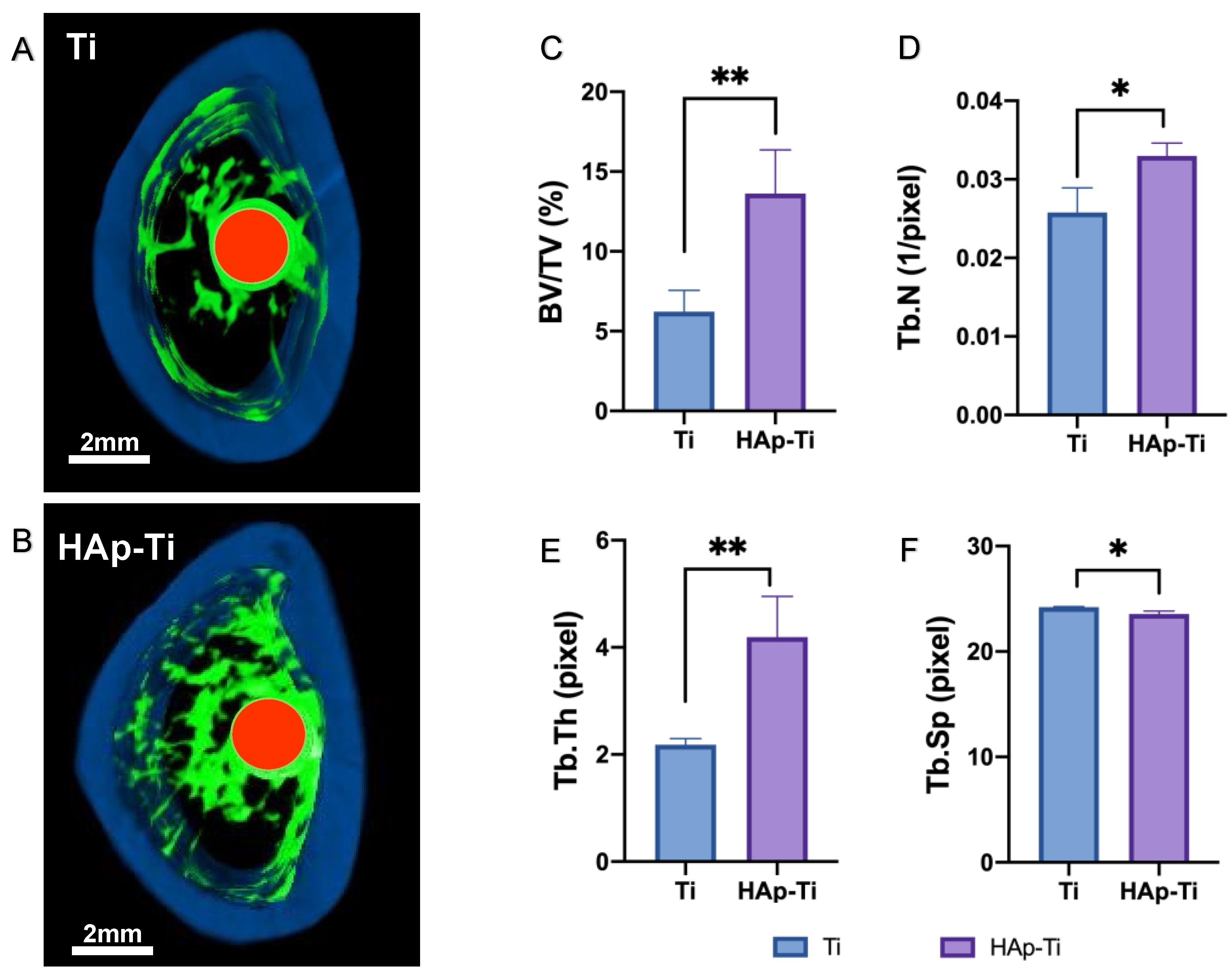 Ijms 25 00349 g011 Ijms 25 00349 g011
