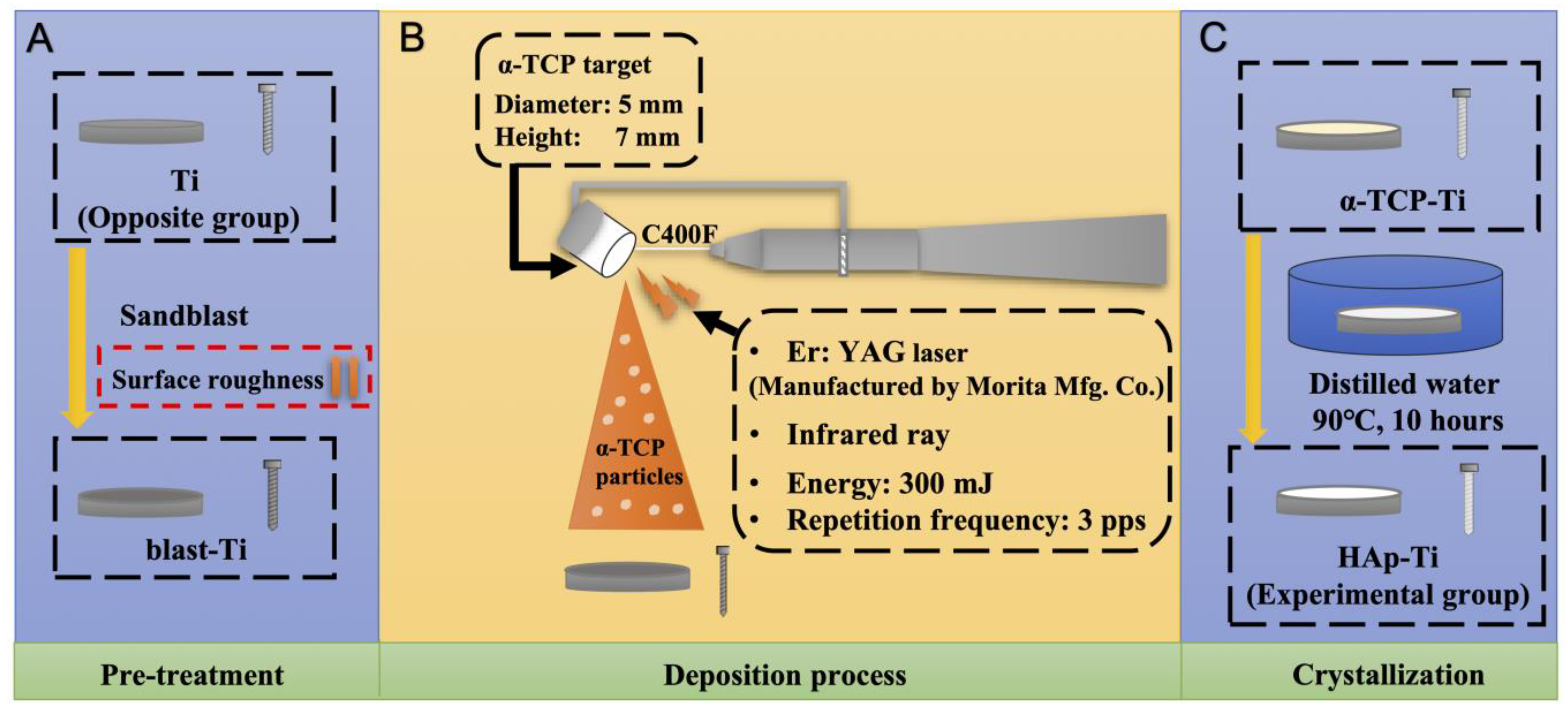 Ijms 25 00349 g014 Ijms 25 00349 g014