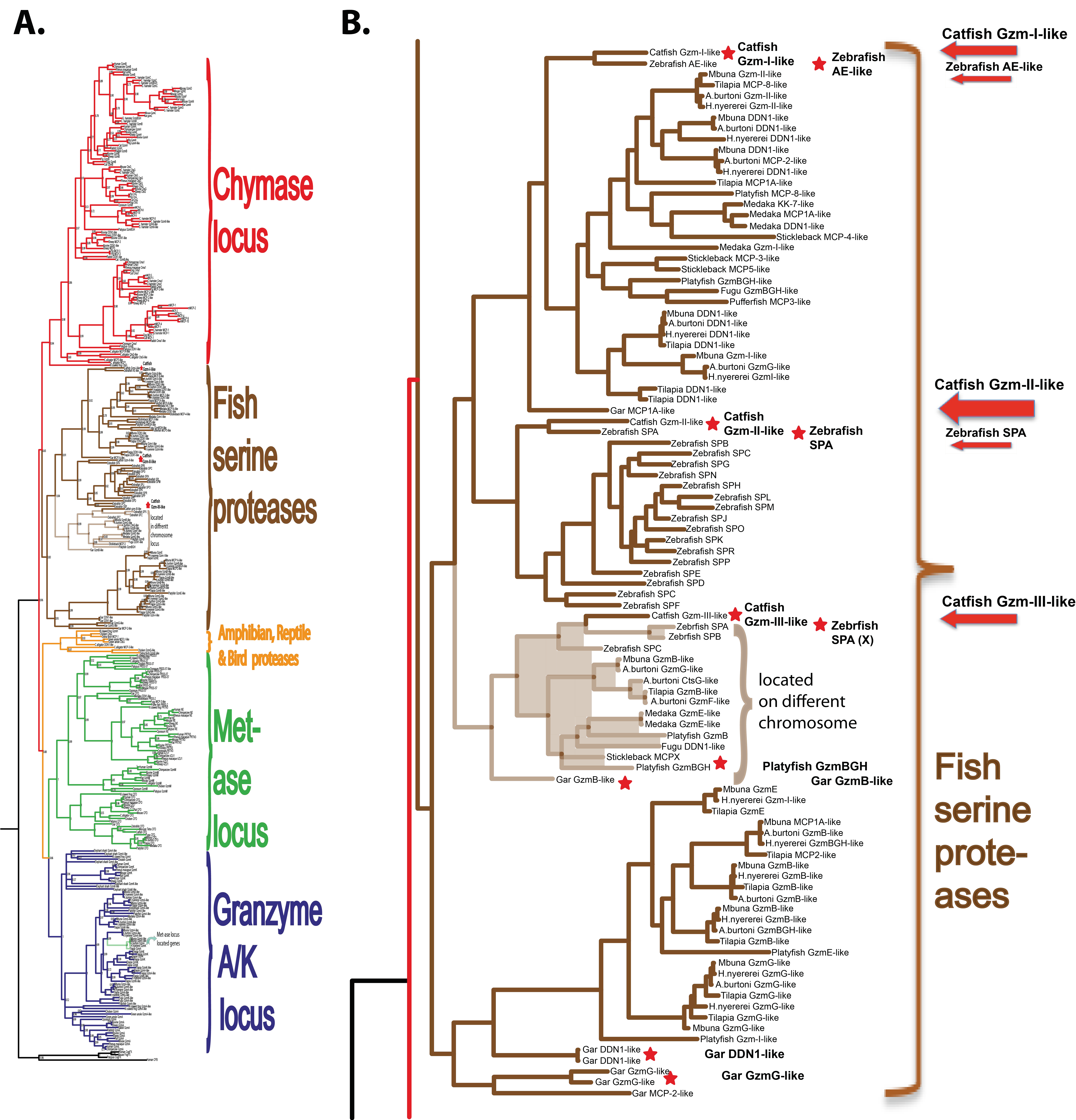 Ijms 25 00356 g001 Ijms 25 00356 g001