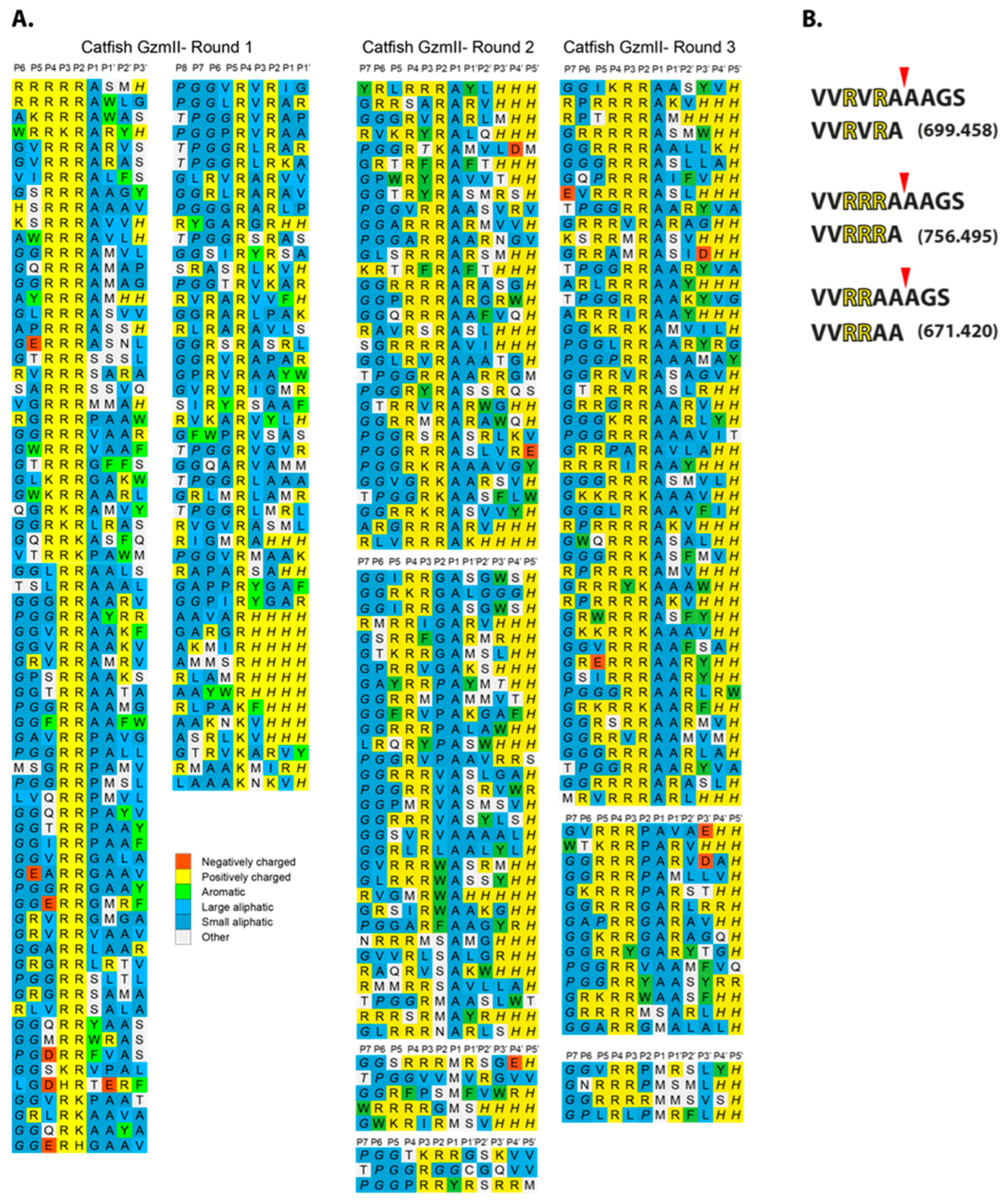 Ijms 25 00356 g003 Ijms 25 00356 g003