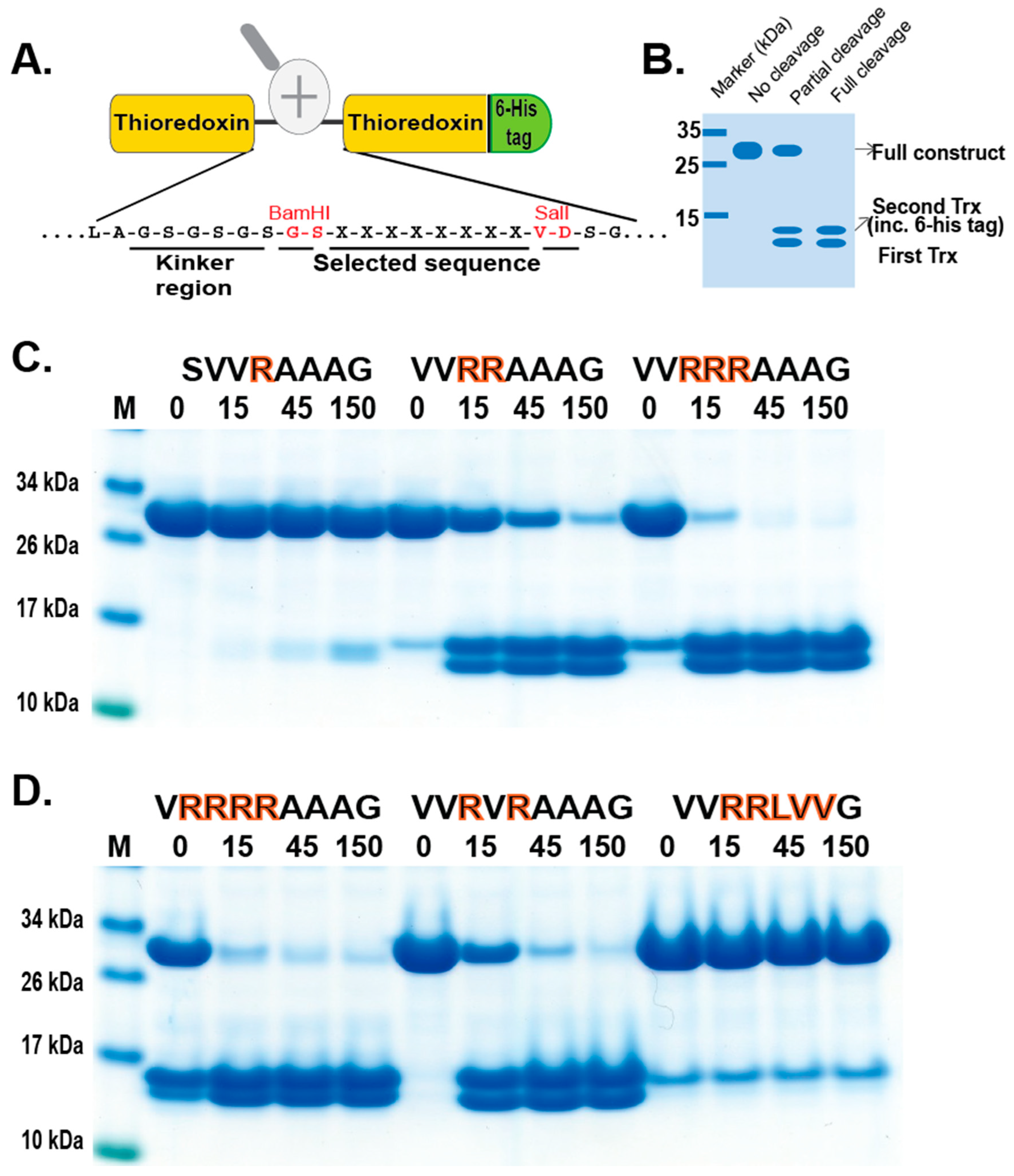Ijms 25 00356 g004 Ijms 25 00356 g004