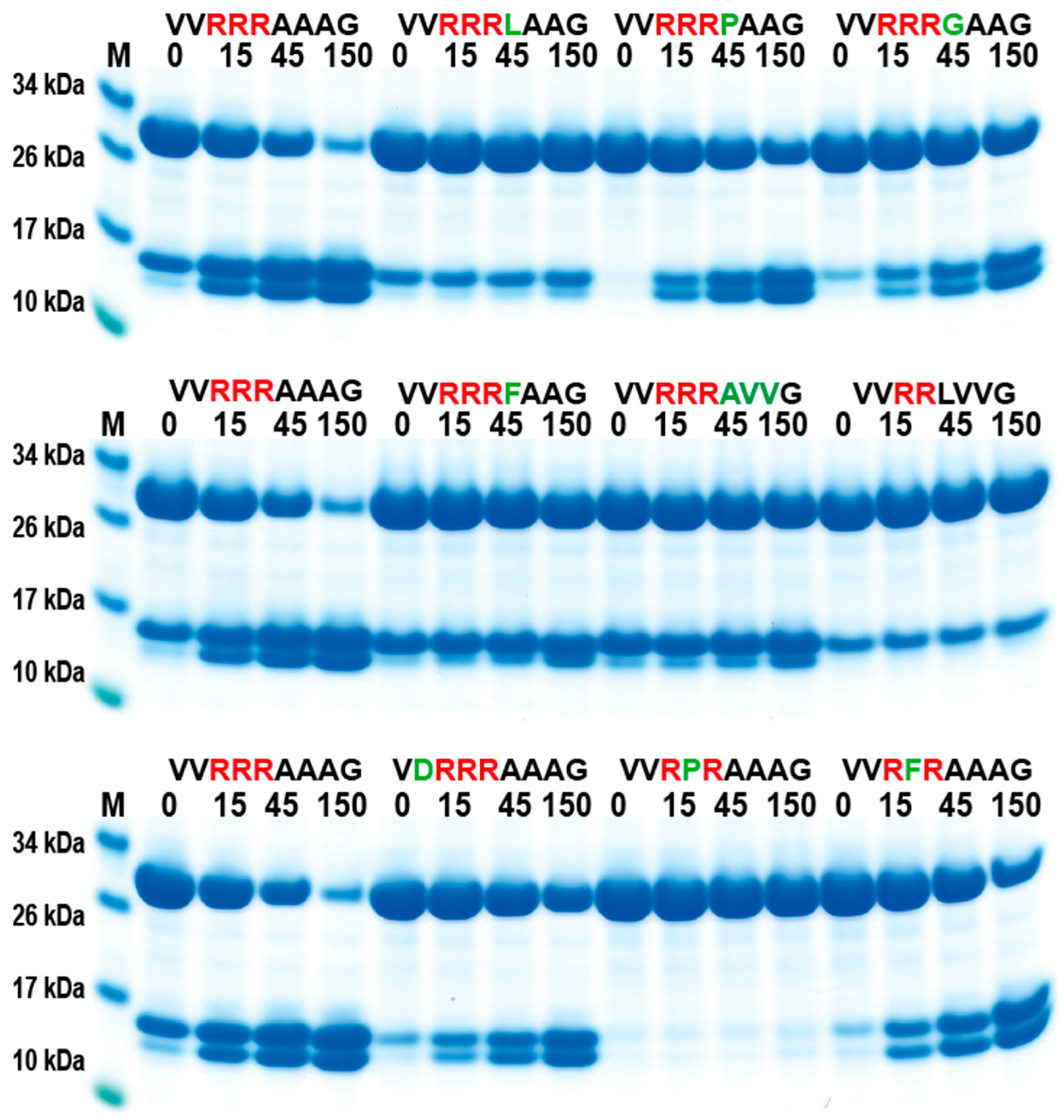 Ijms 25 00356 g005 Ijms 25 00356 g005