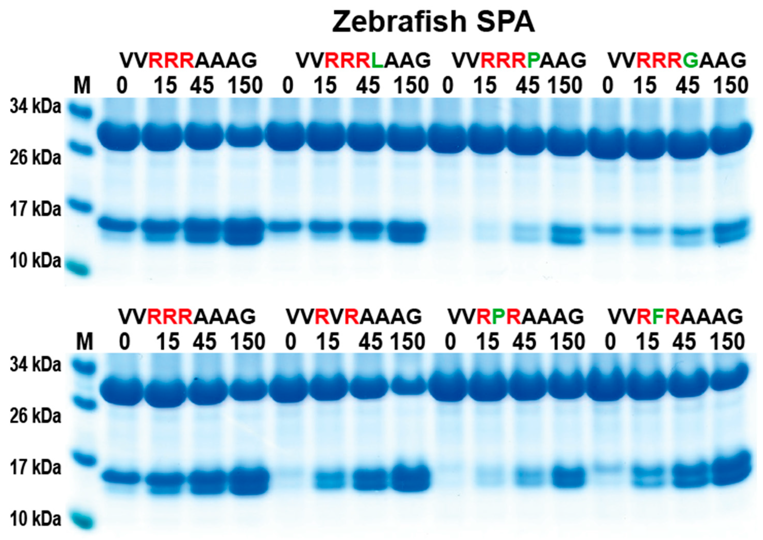 Ijms 25 00356 g006 Ijms 25 00356 g006