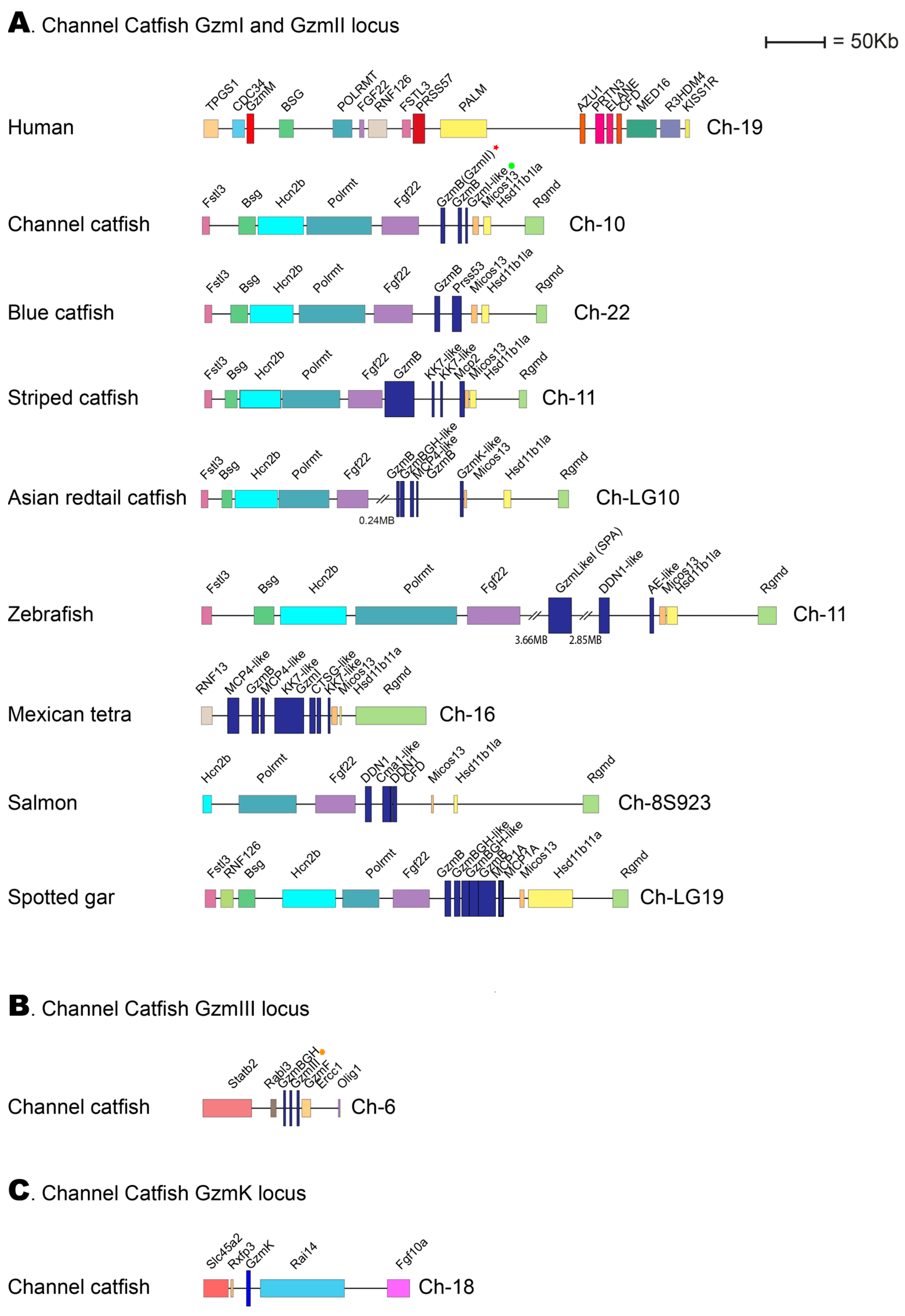 Ijms 25 00356 g008 Ijms 25 00356 g008