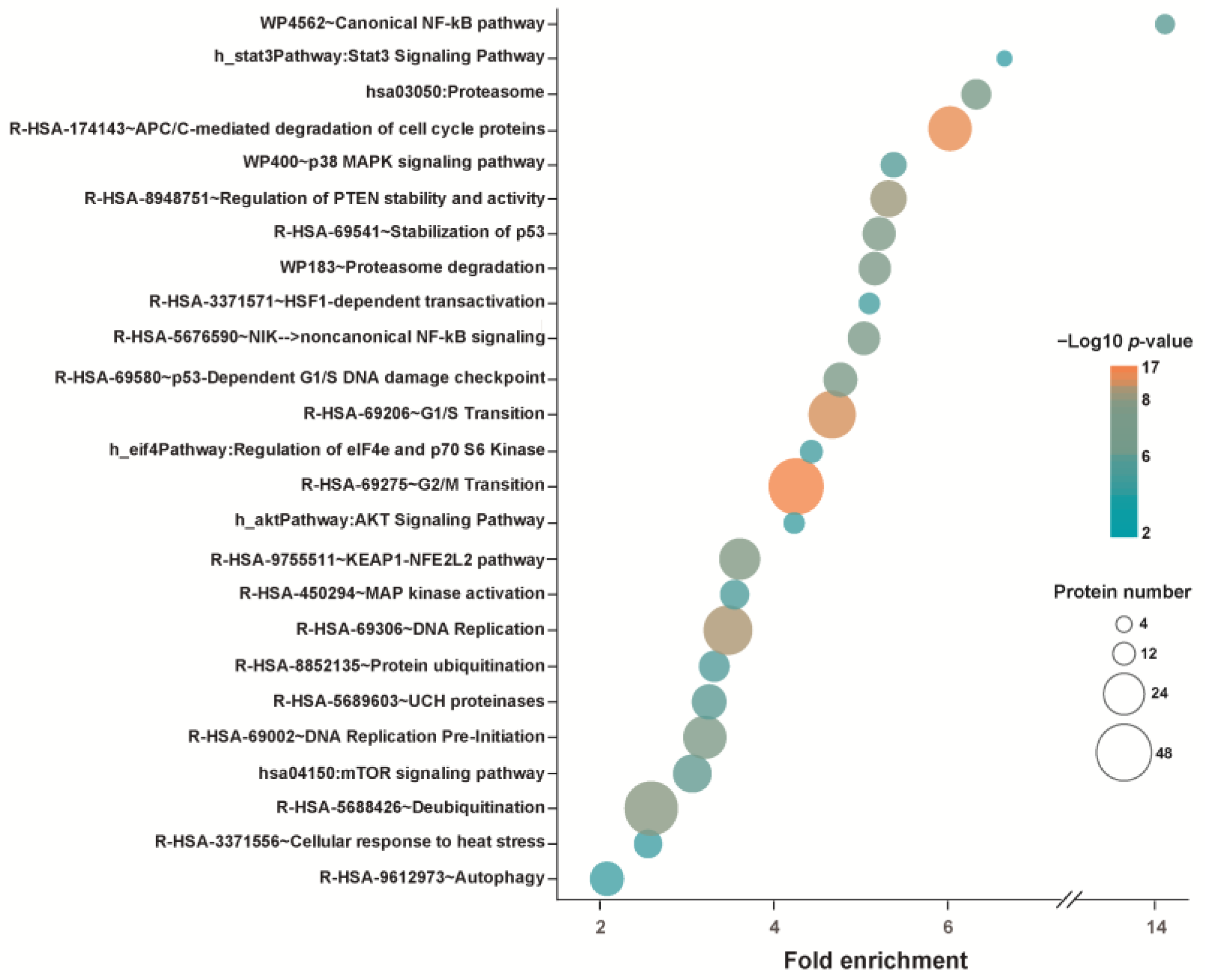 Ijms 25 00367 g003 Ijms 25 00367 g003