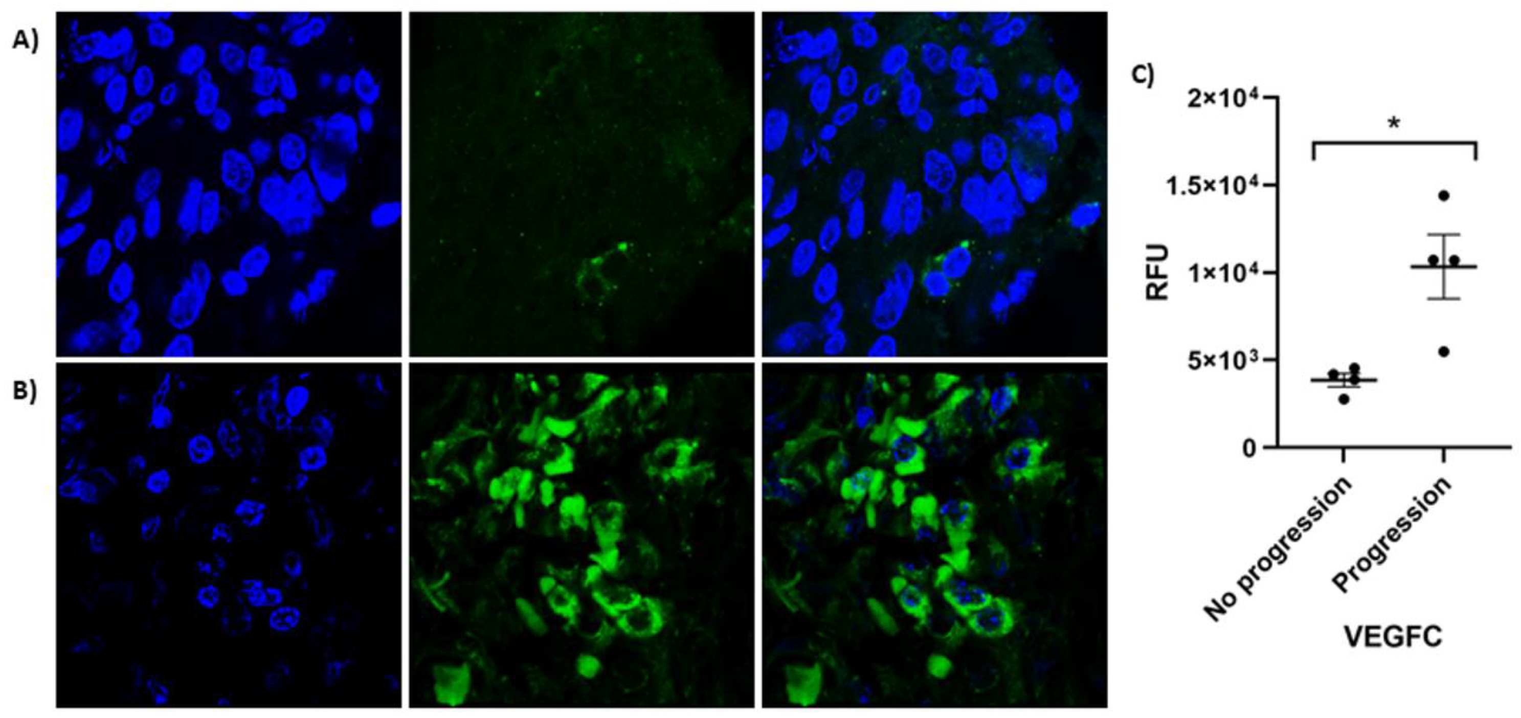 Ijms 25 00379 g002 Ijms 25 00379 g002