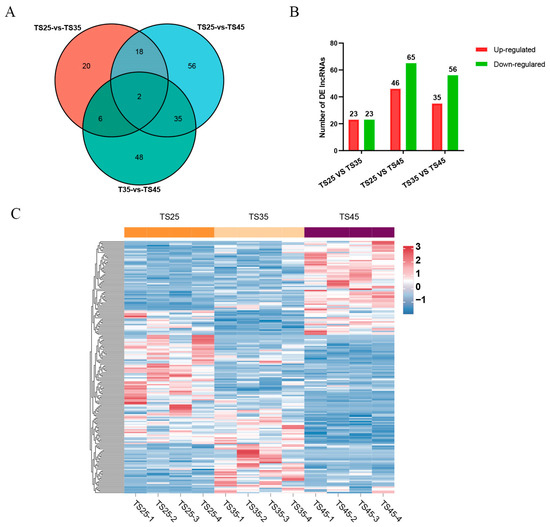 LncRNA and Protein Expression Profiles Reveal Heart