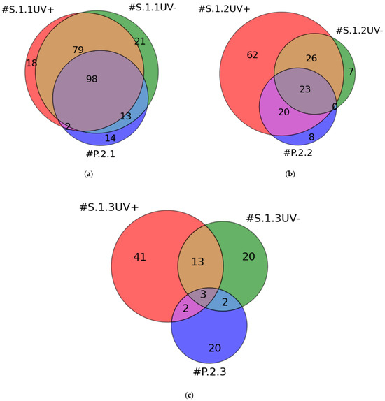 MS Identification of Blood Plasma Proteins Concentrated on a 
