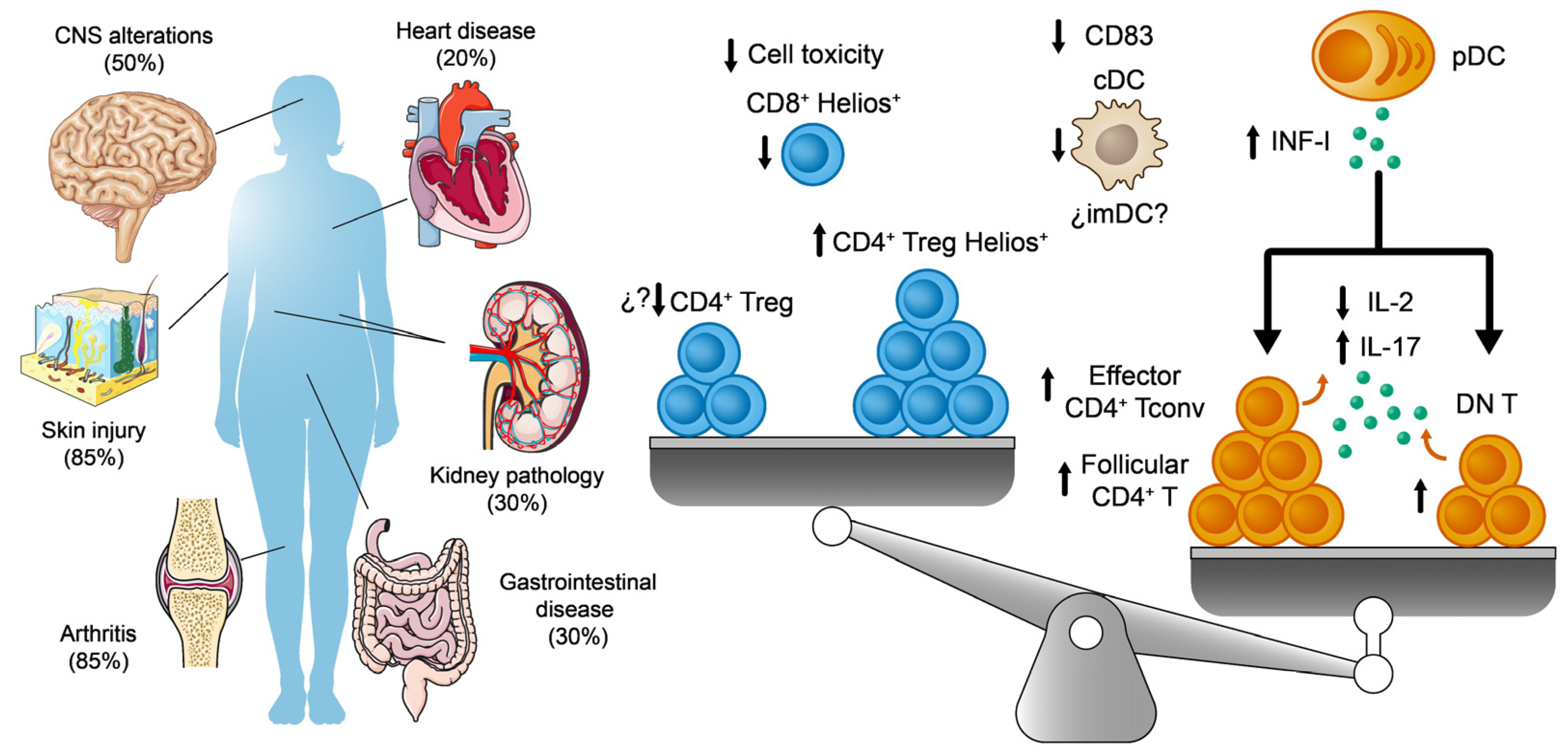 Ijms 25 00452 g003 Ijms 25 00452 g003