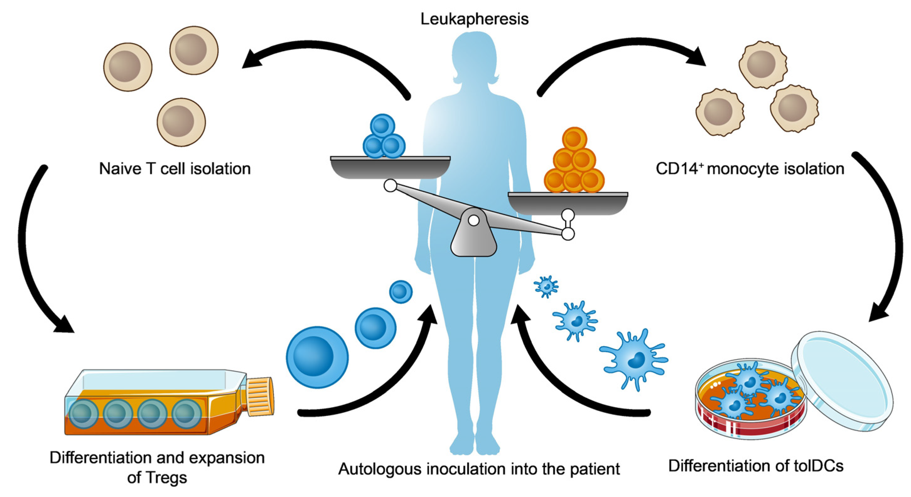 Ijms 25 00452 g005 Ijms 25 00452 g005