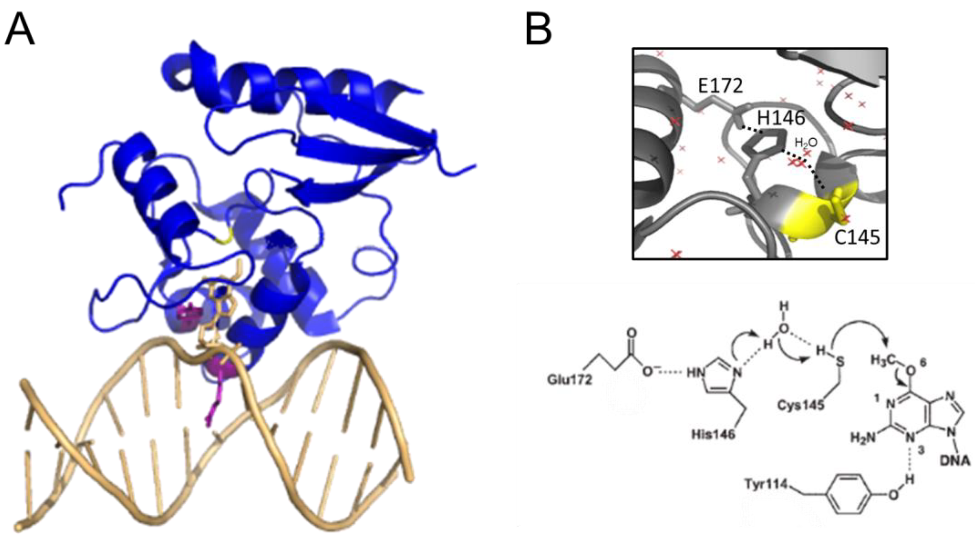 Ijms 25 00463 g002 Ijms 25 00463 g002