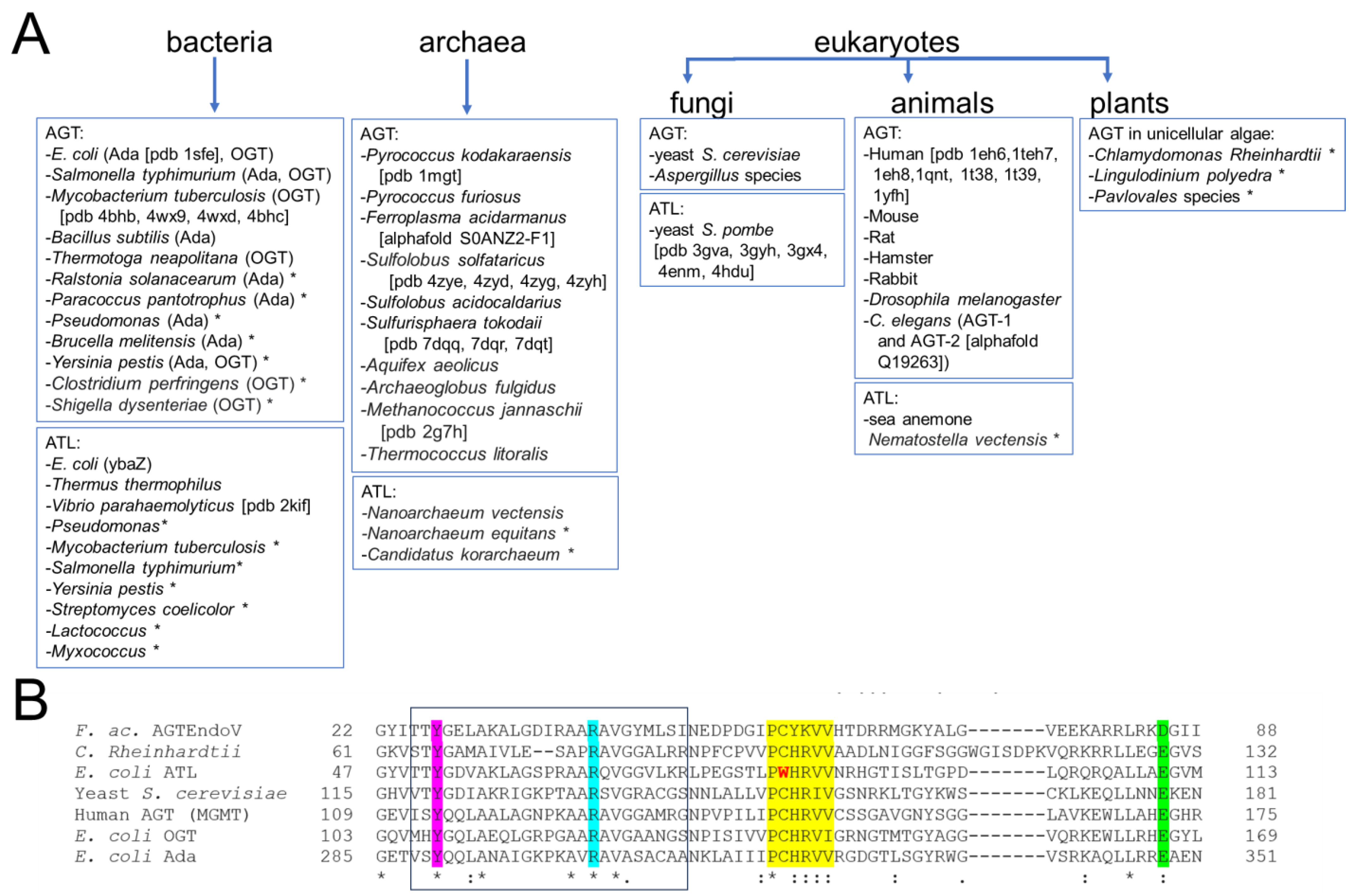 Ijms 25 00463 g006 Ijms 25 00463 g006