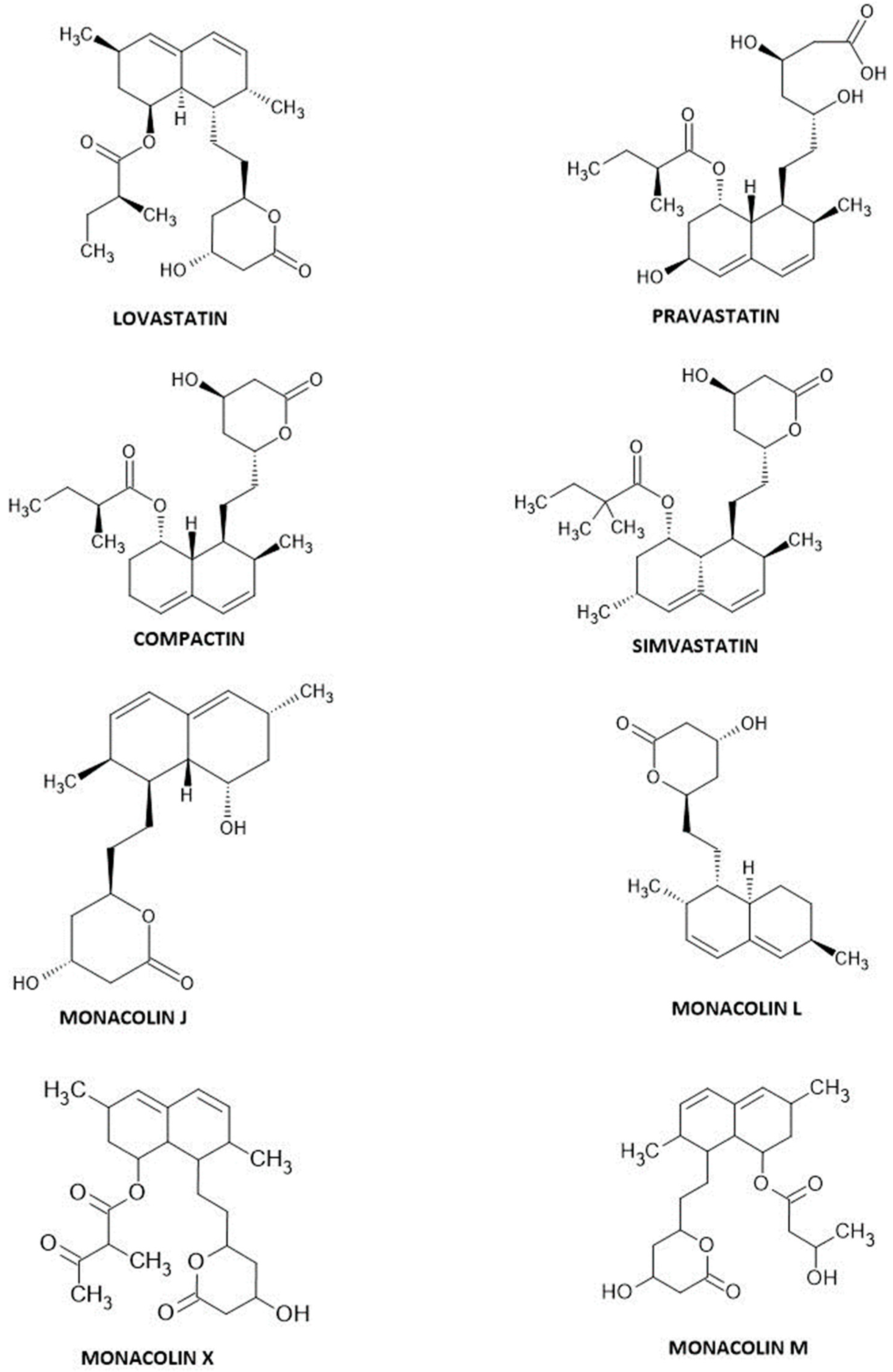Statins—From Fungi to Pharmacy
