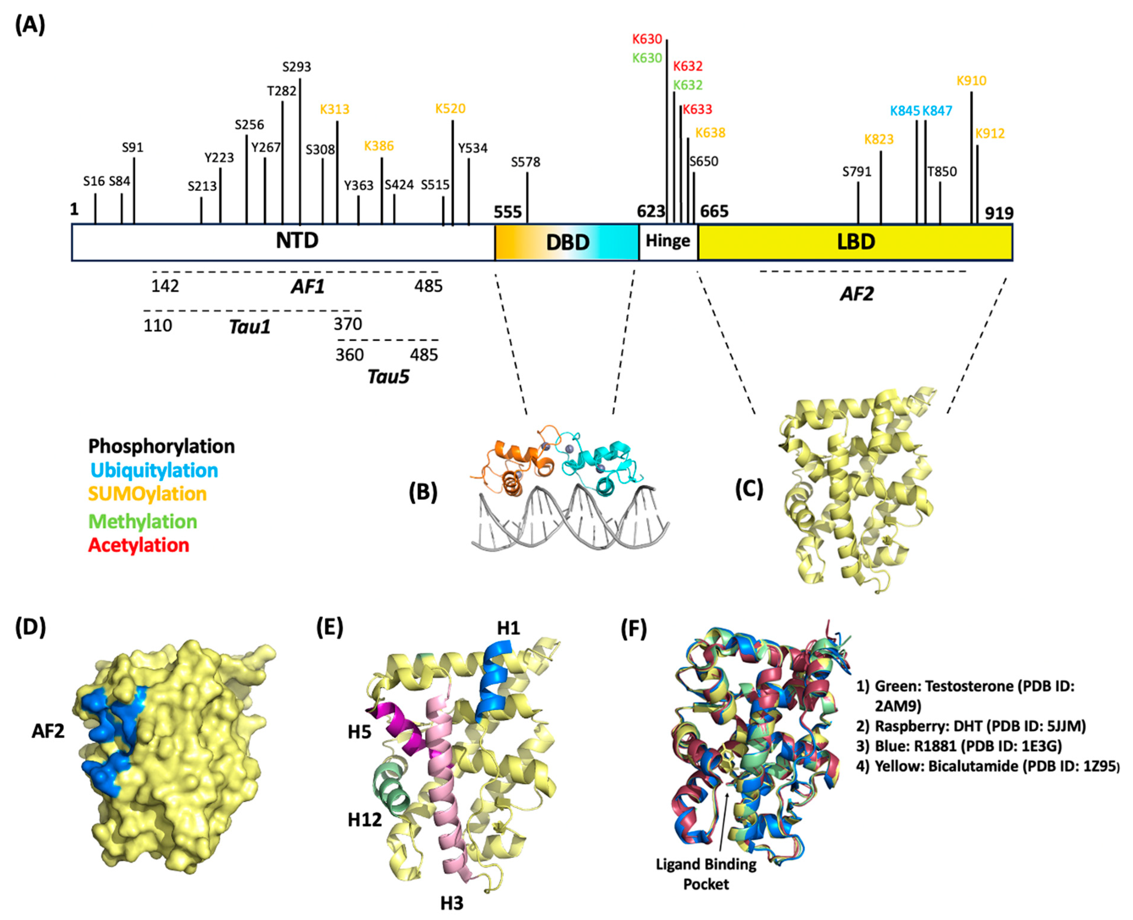 Ijms 25 00476 g001 Ijms 25 00476 g001