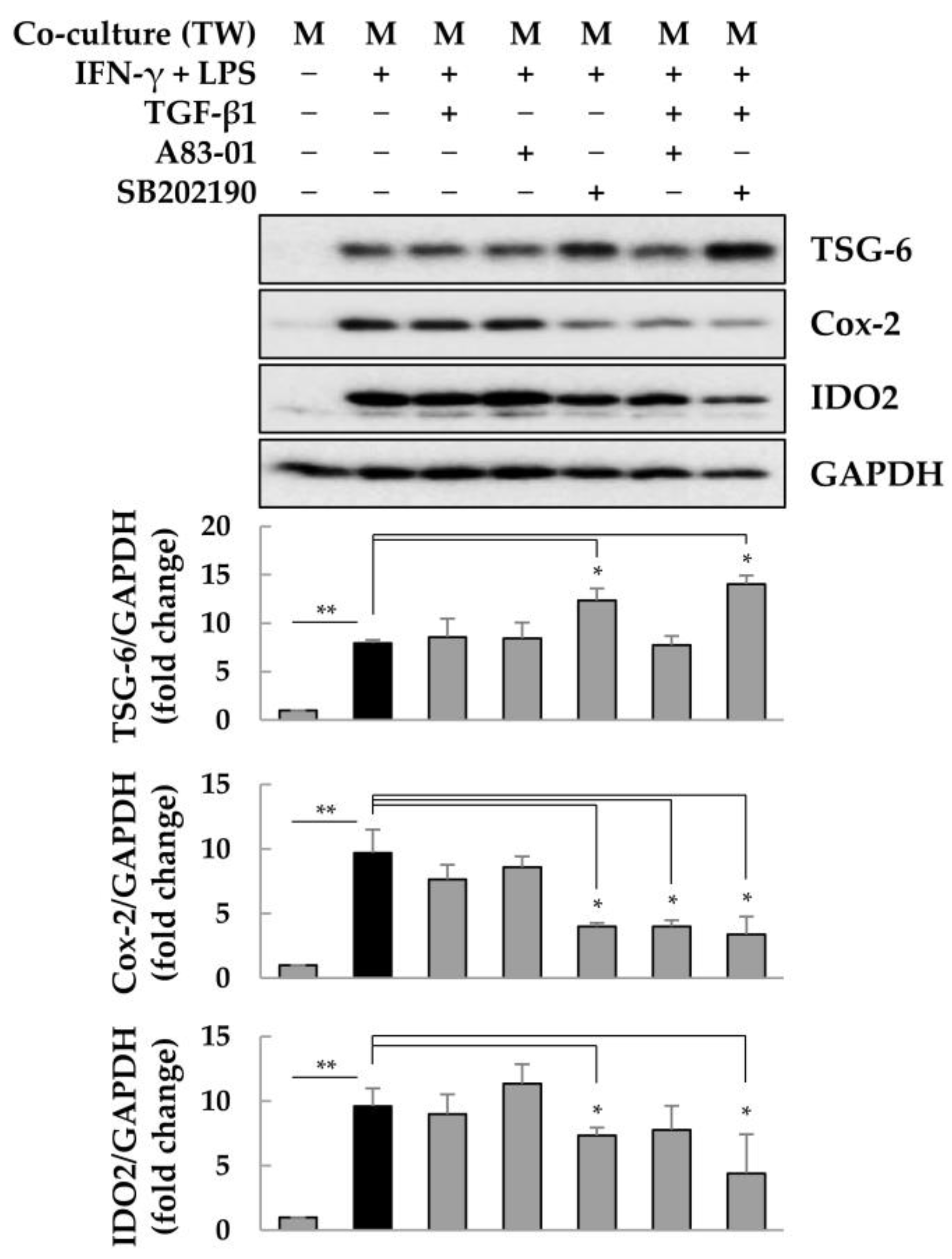 Ijms 25 00477 g005 Ijms 25 00477 g005