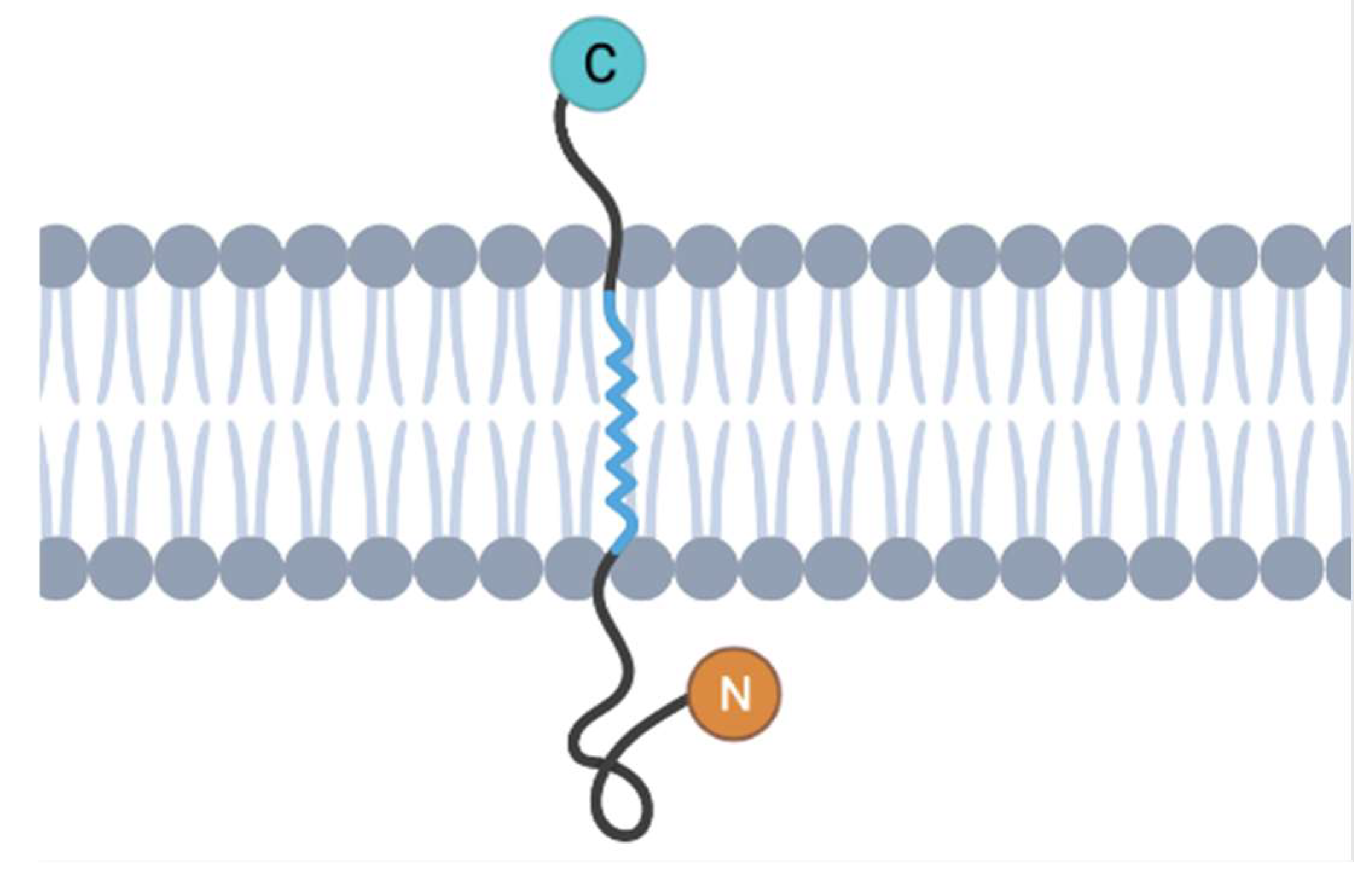 Ijms 25 00483 g001 Ijms 25 00483 g001