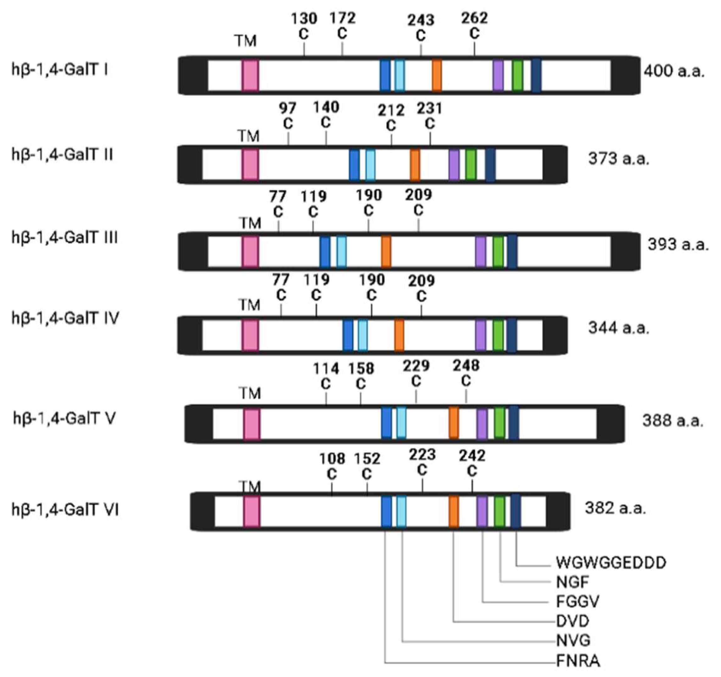 Ijms 25 00483 g002 Ijms 25 00483 g002