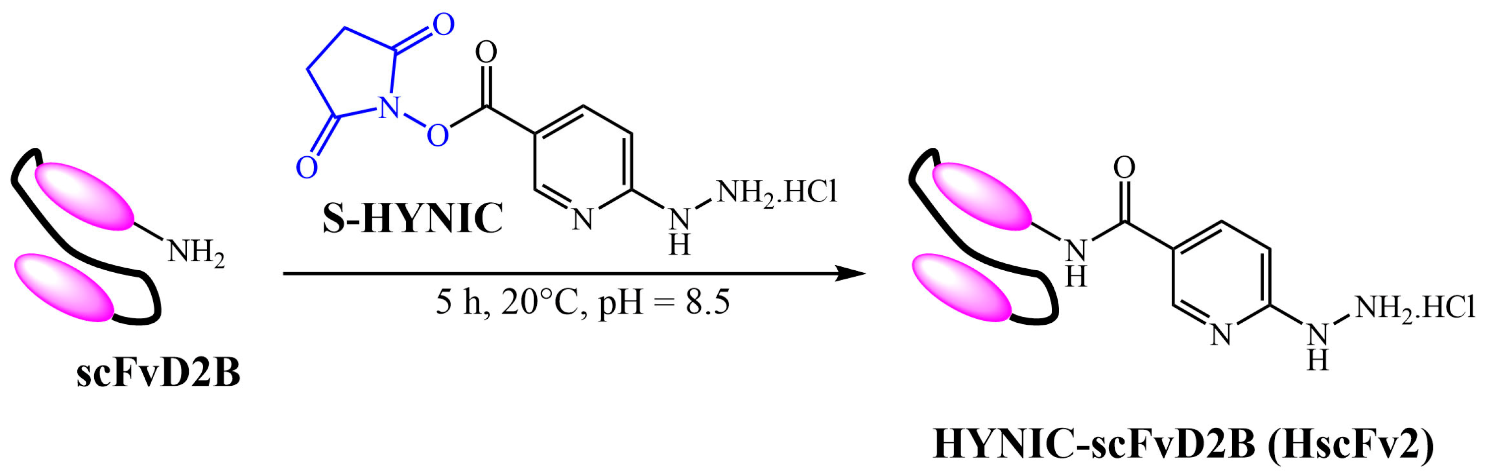 Ijms 25 00492 sch002