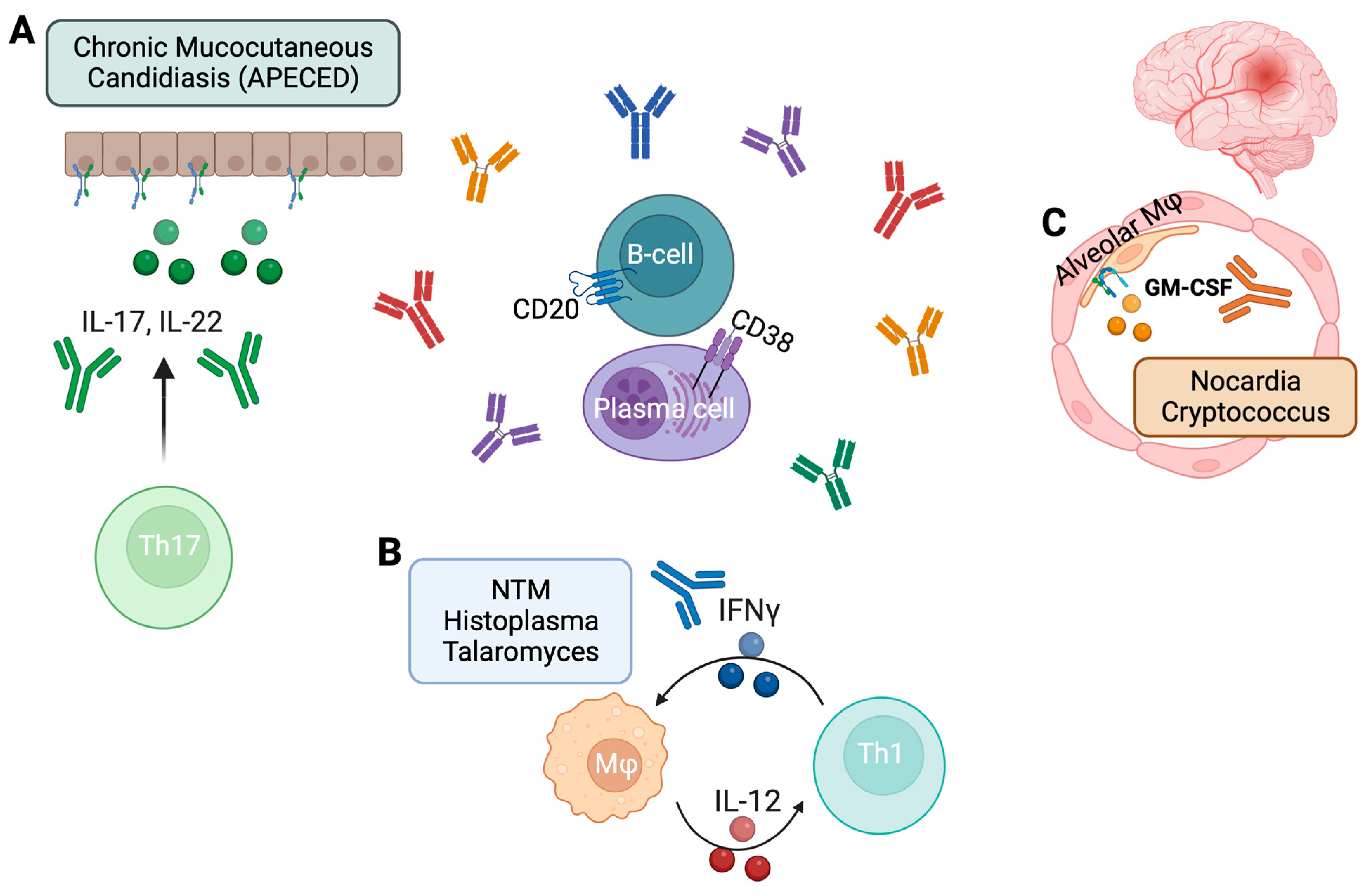 Ijms 25 00515 g001 Ijms 25 00515 g001