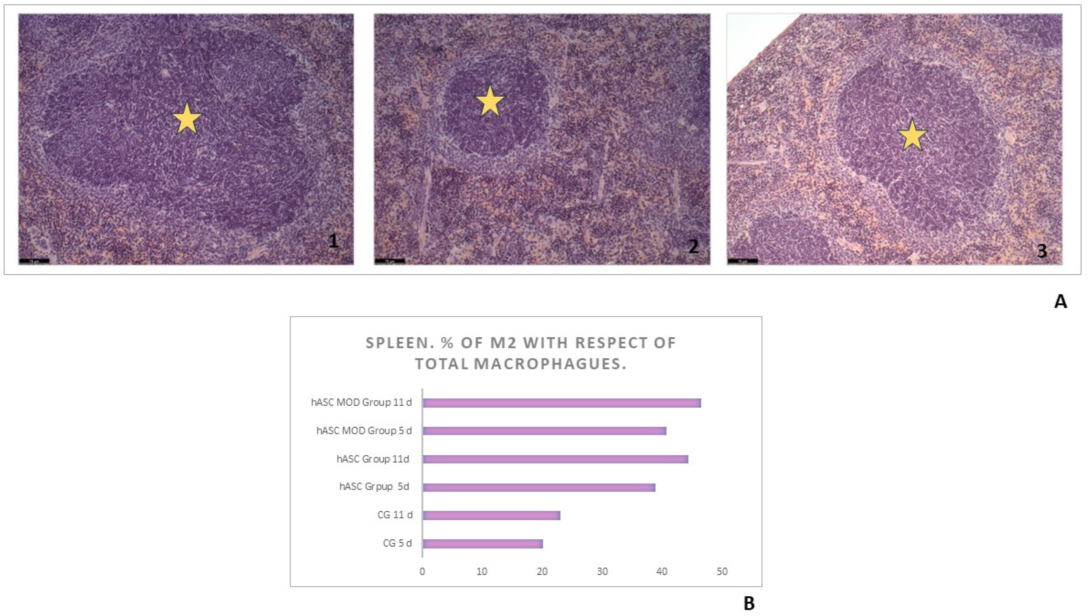 Ijms 25 00520 g003 Ijms 25 00520 g003
