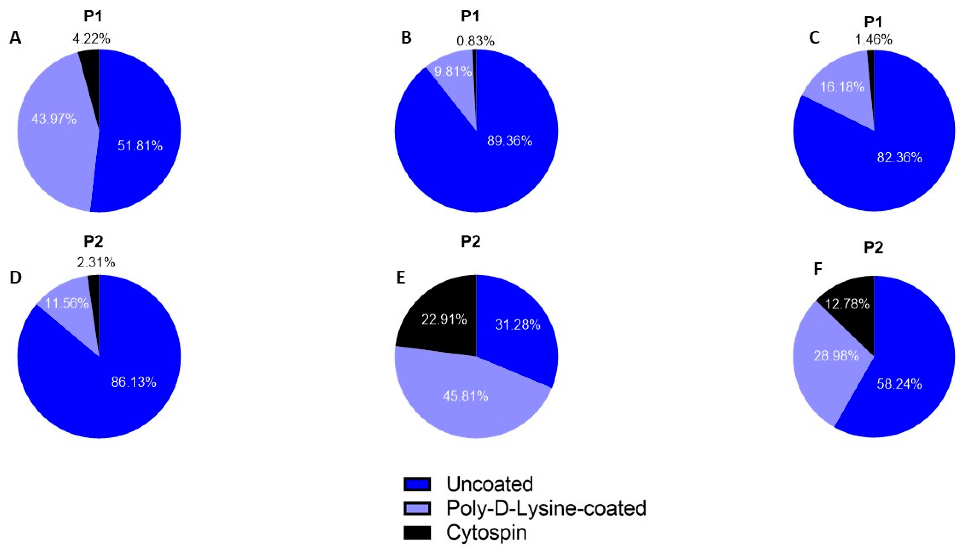 Ijms 25 00521 g004 Ijms 25 00521 g004